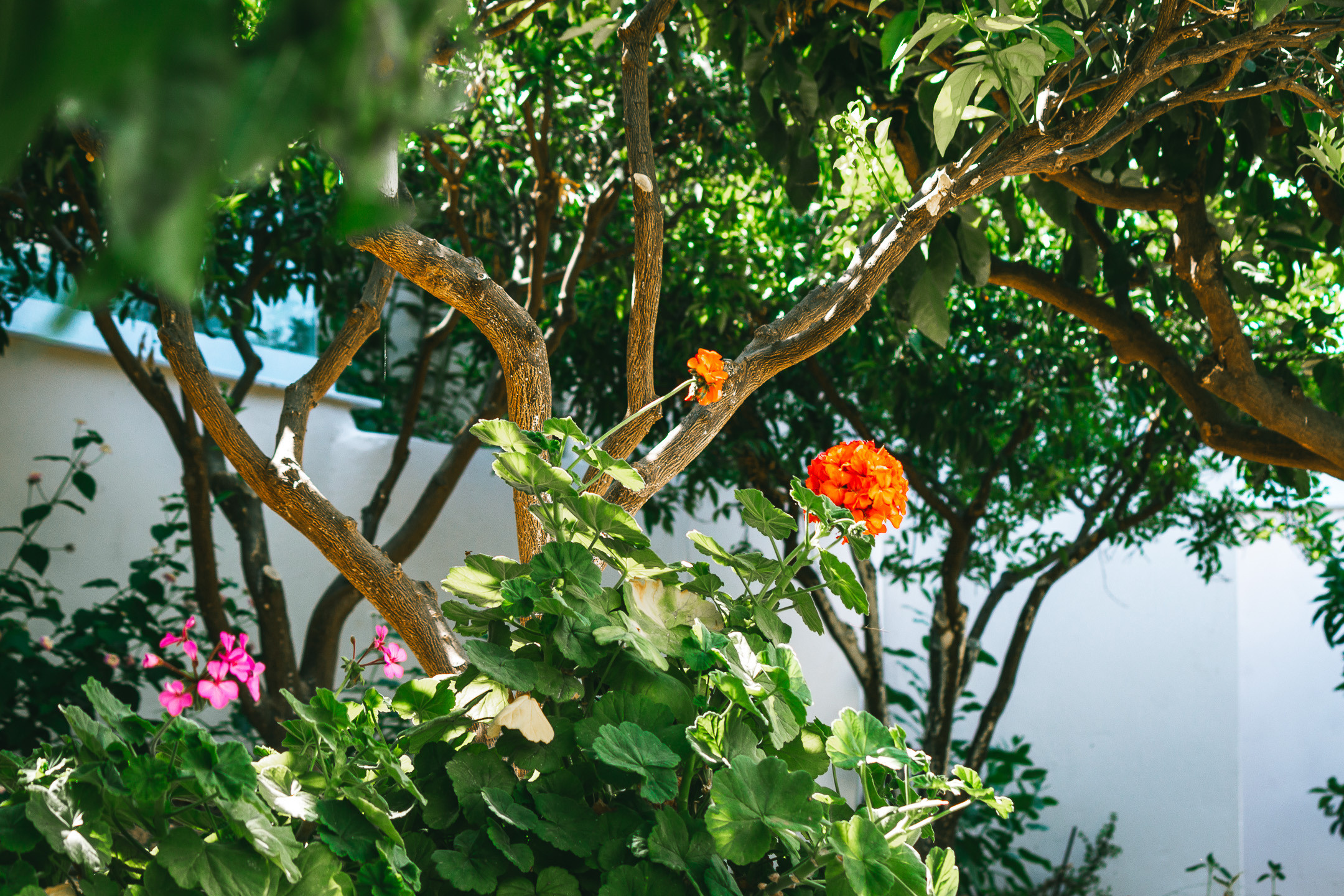 КРИТ • 2019. Творческая Мастерская Павла МАРЕЕВА