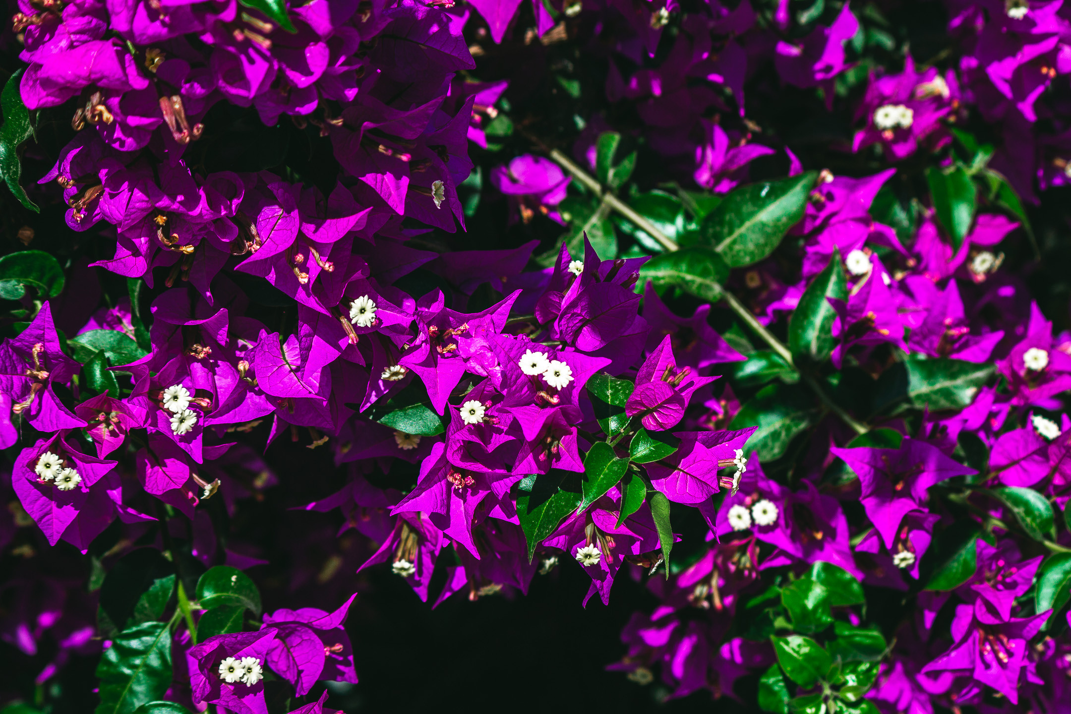 КРИТ • 2019. Творческая Мастерская Павла МАРЕЕВА