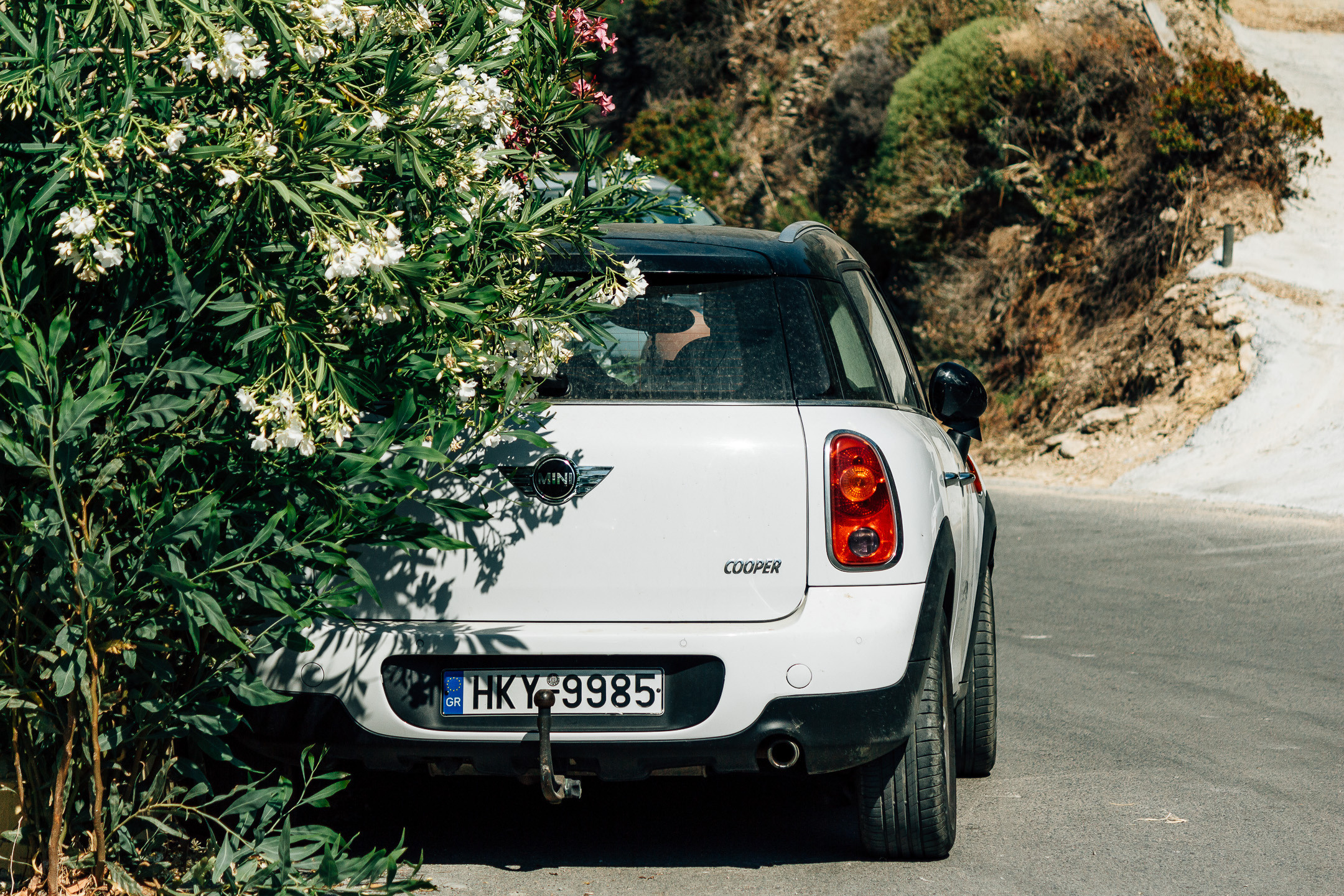 КРИТ • 2019. Творческая Мастерская Павла МАРЕЕВА