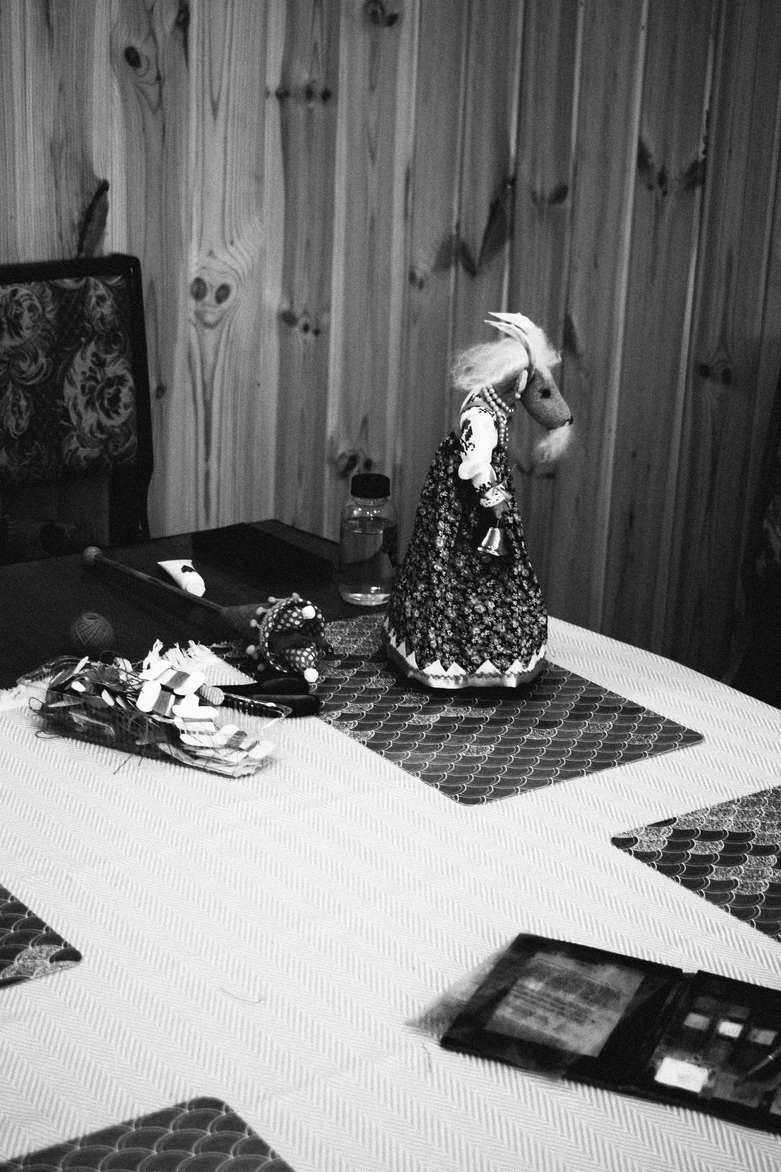 Мероприятия. Соня Мнема