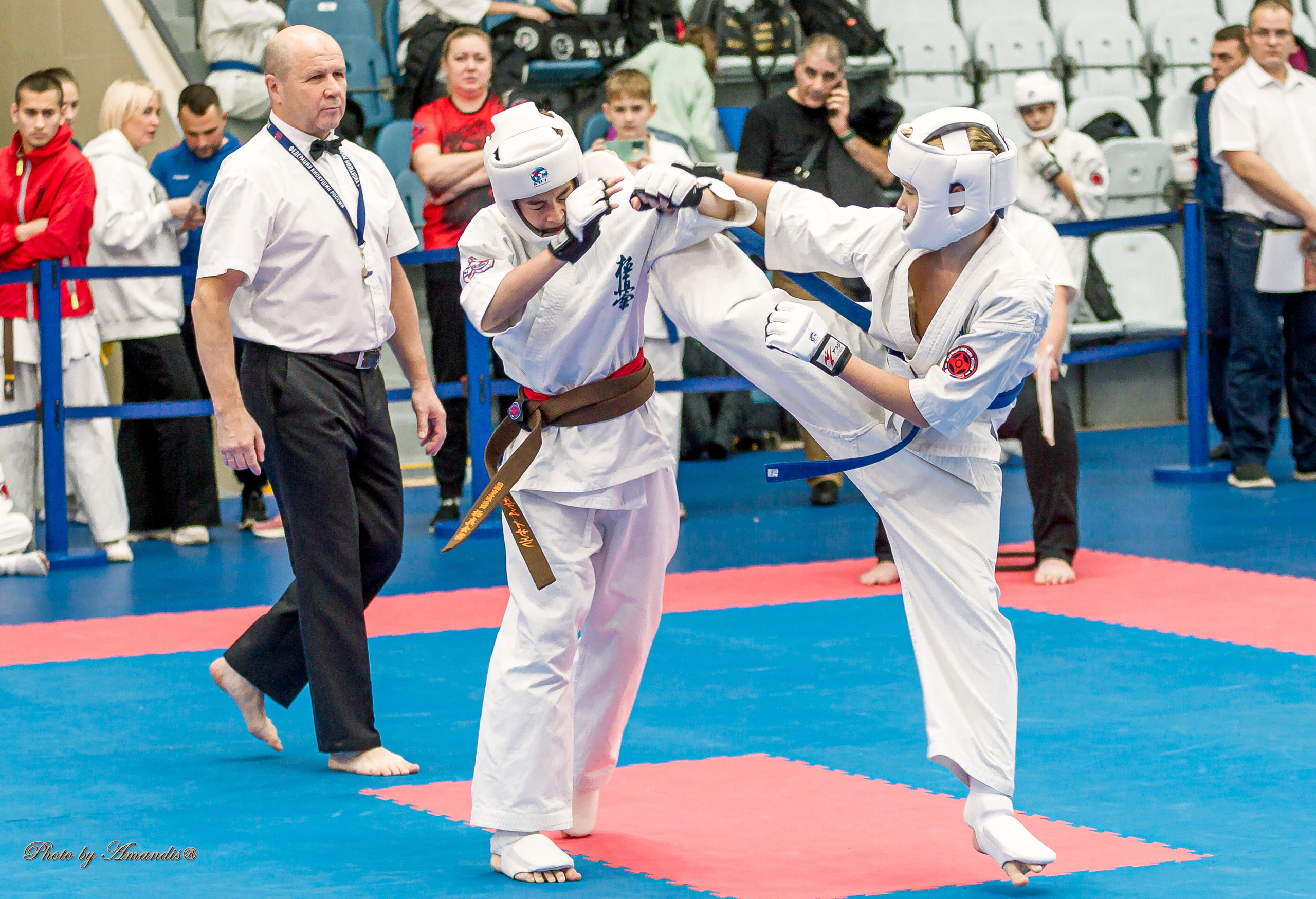Чемпионат по Киокушинкай Центрального Федерального округа. Репортажная съемка в Москве и области. Анималистика