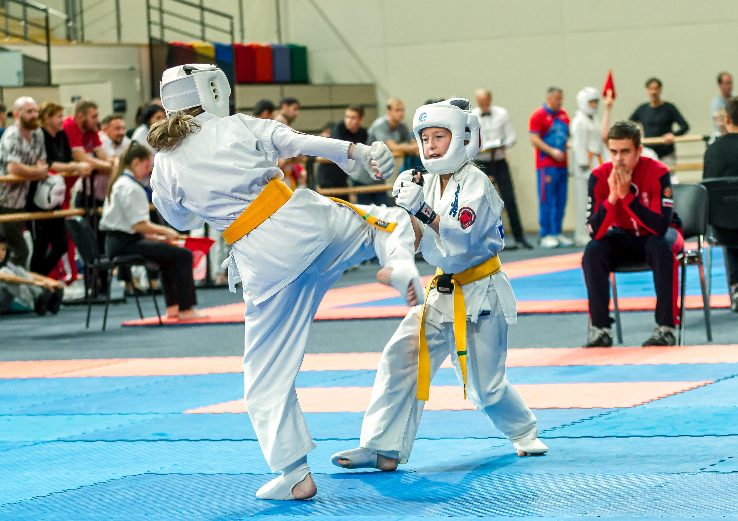 Первенство Московской области по Киокушин в СК «Жаворонки». Репортажная съемка в Москве и области. Анималистика