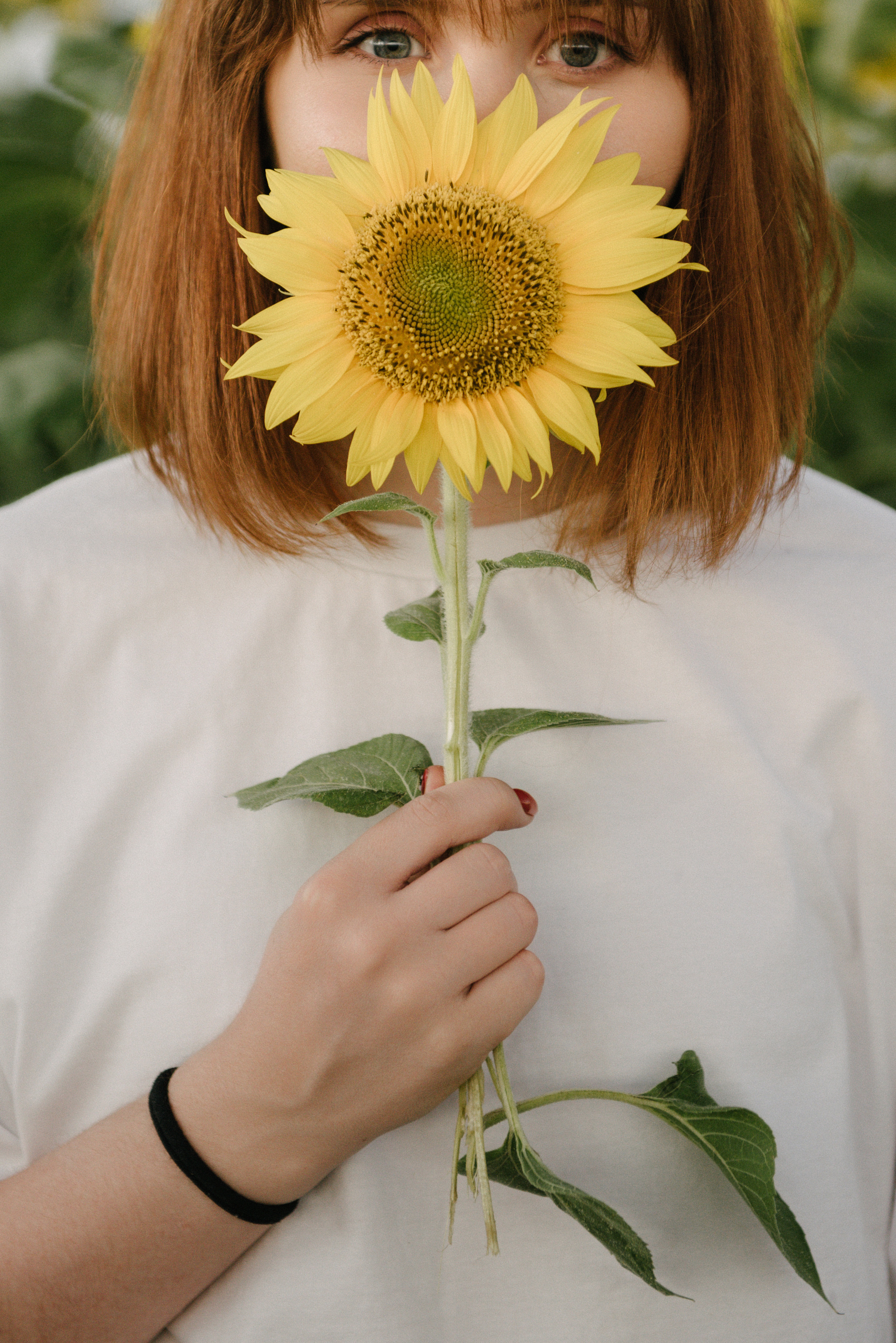 Подсолнухи. Семейный фотограф Саратов Маргарита Куликова