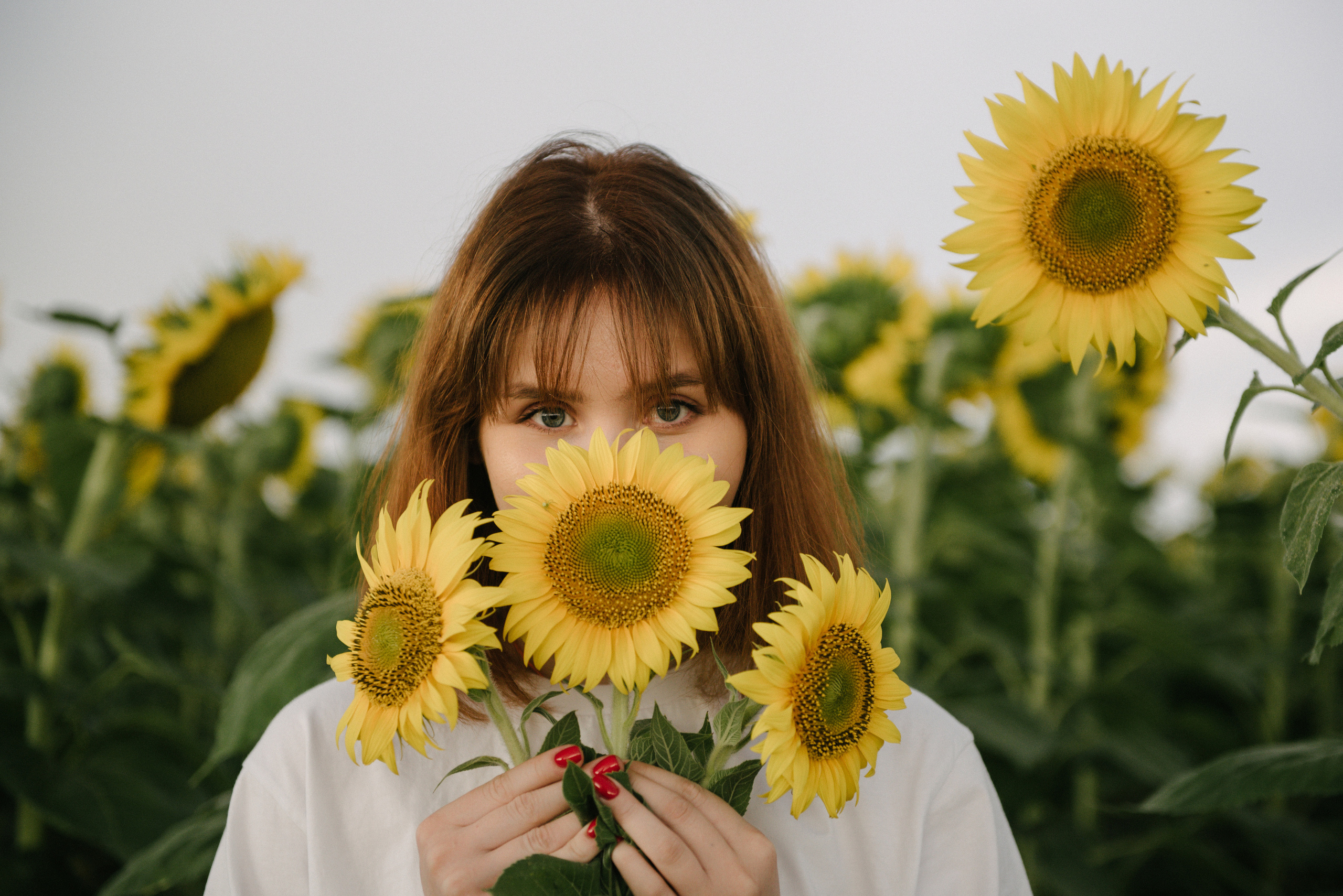 Подсолнухи. Семейный фотограф Саратов Маргарита Куликова
