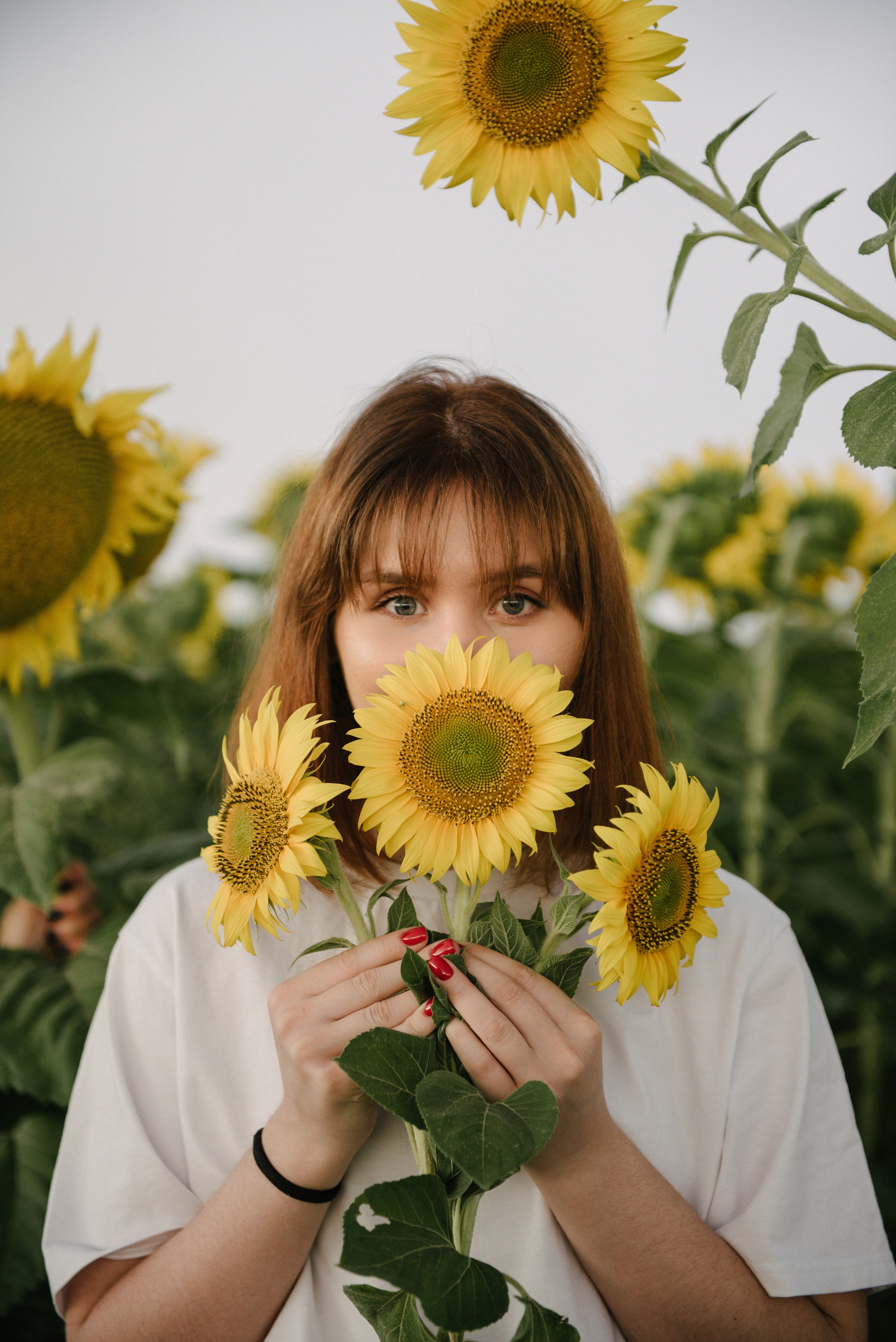 Подсолнухи. Семейный фотограф Саратов Маргарита Куликова