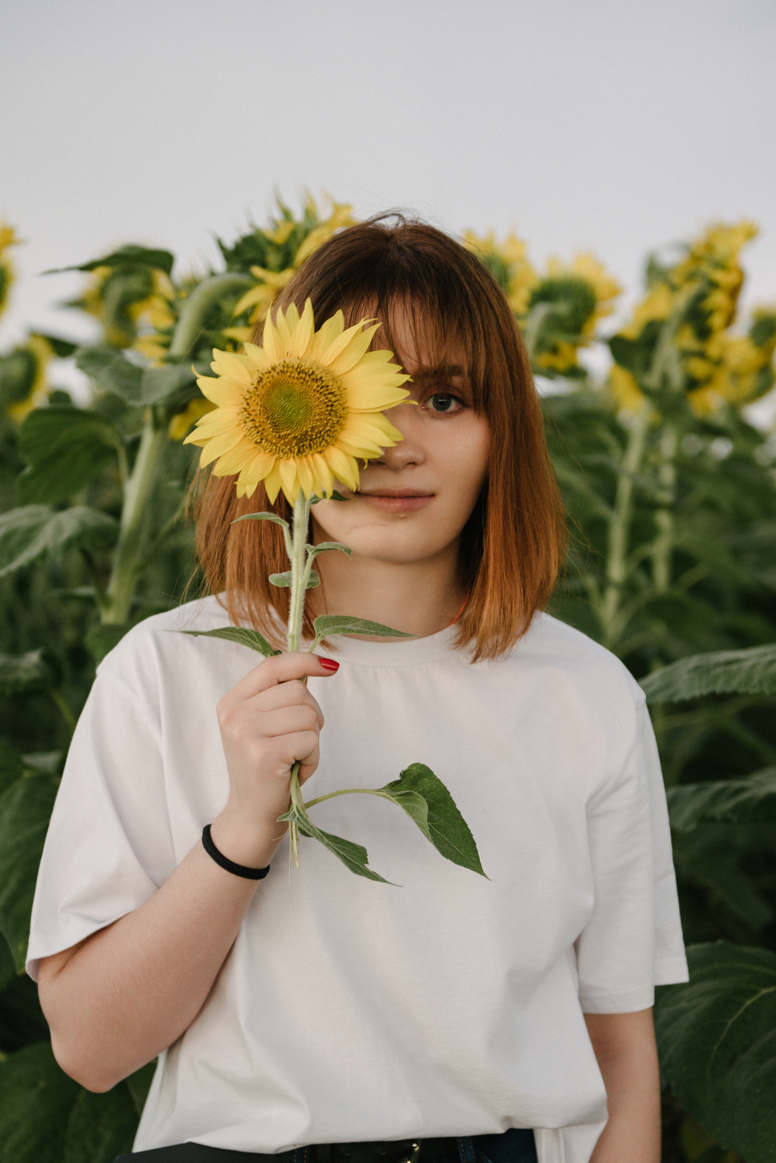 Подсолнухи. Семейный фотограф Саратов Маргарита Куликова