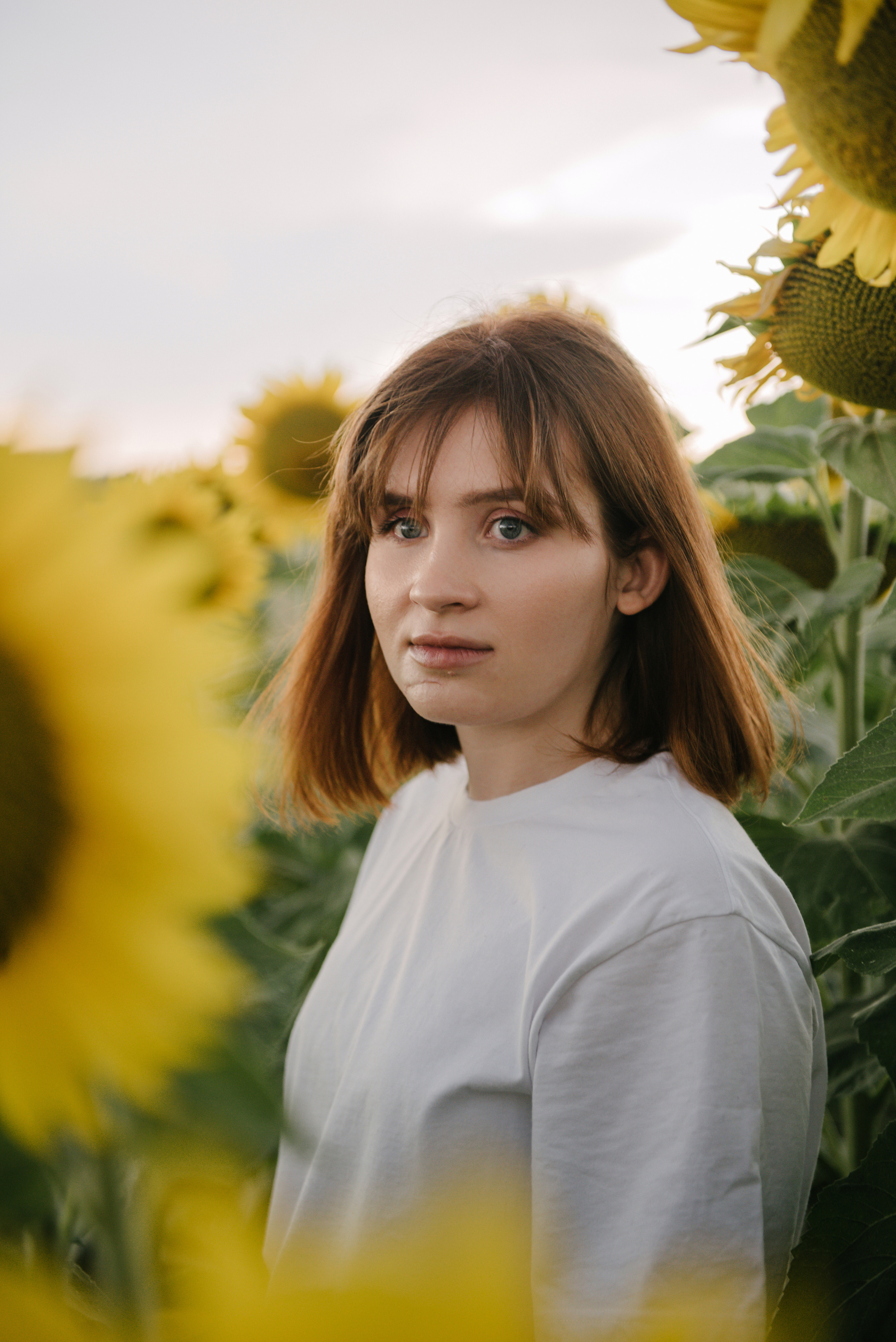 Подсолнухи. Семейный фотограф Саратов Маргарита Куликова
