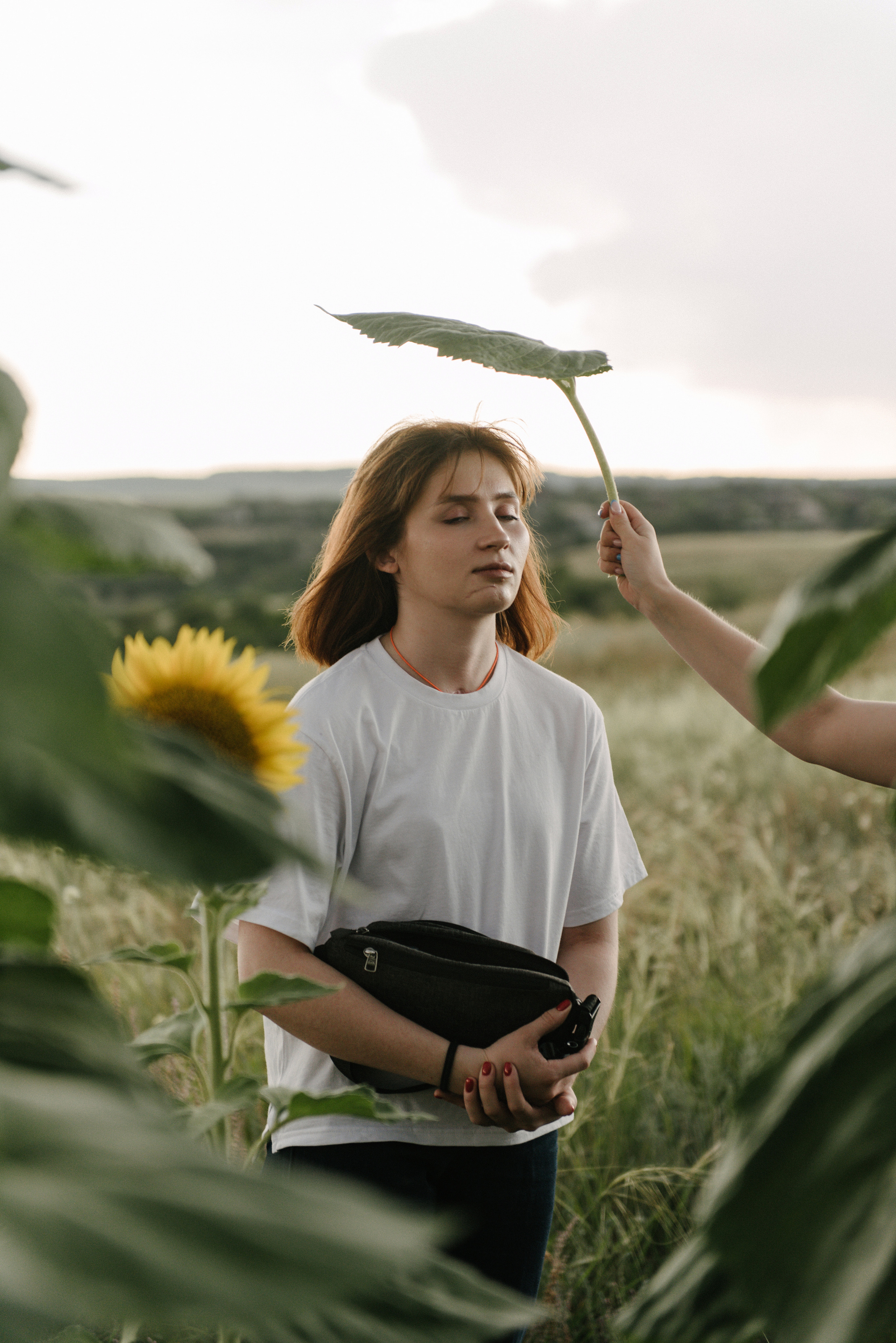 Подсолнухи. Семейный фотограф Саратов Маргарита Куликова