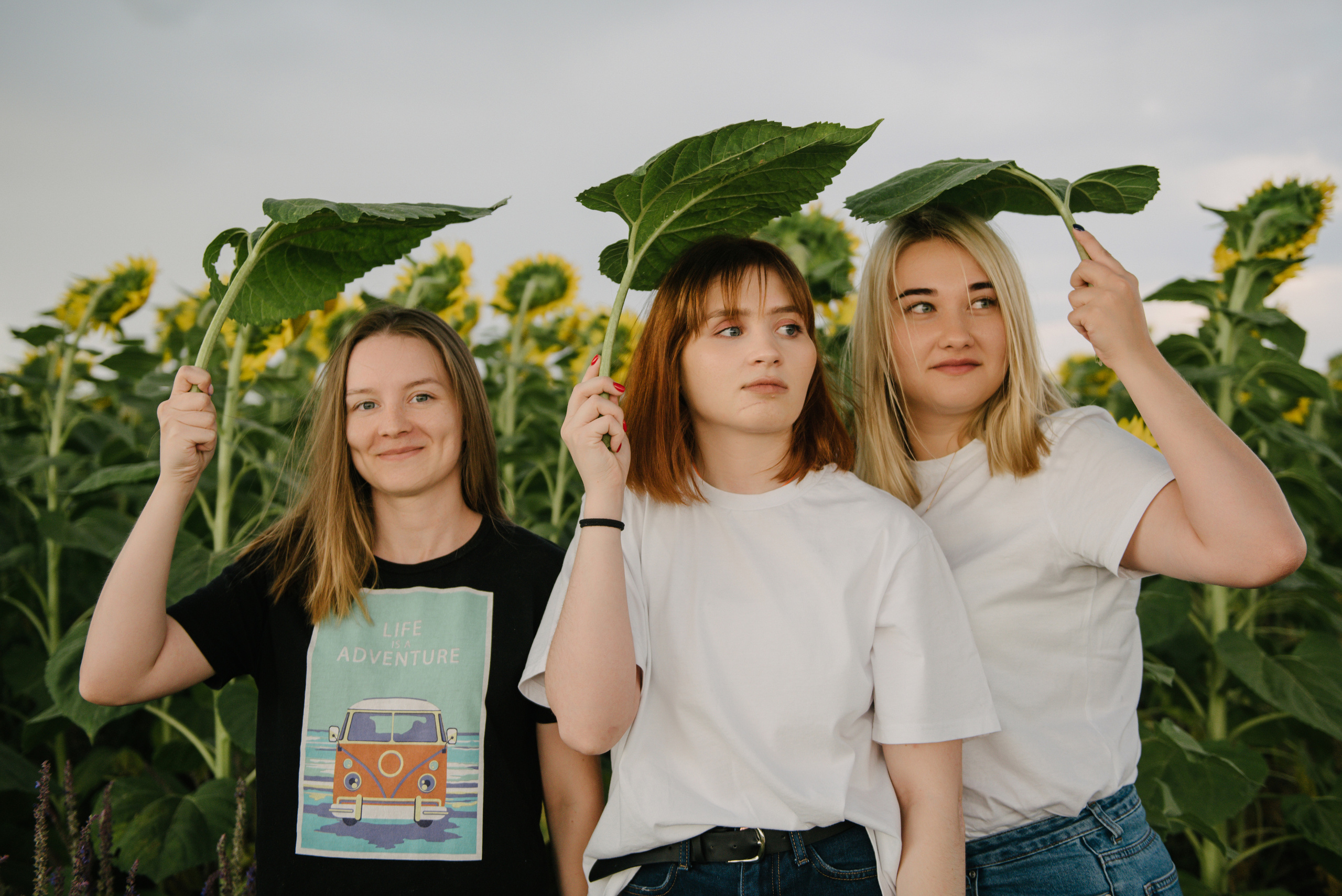 Подсолнухи. Семейный фотограф Саратов Маргарита Куликова