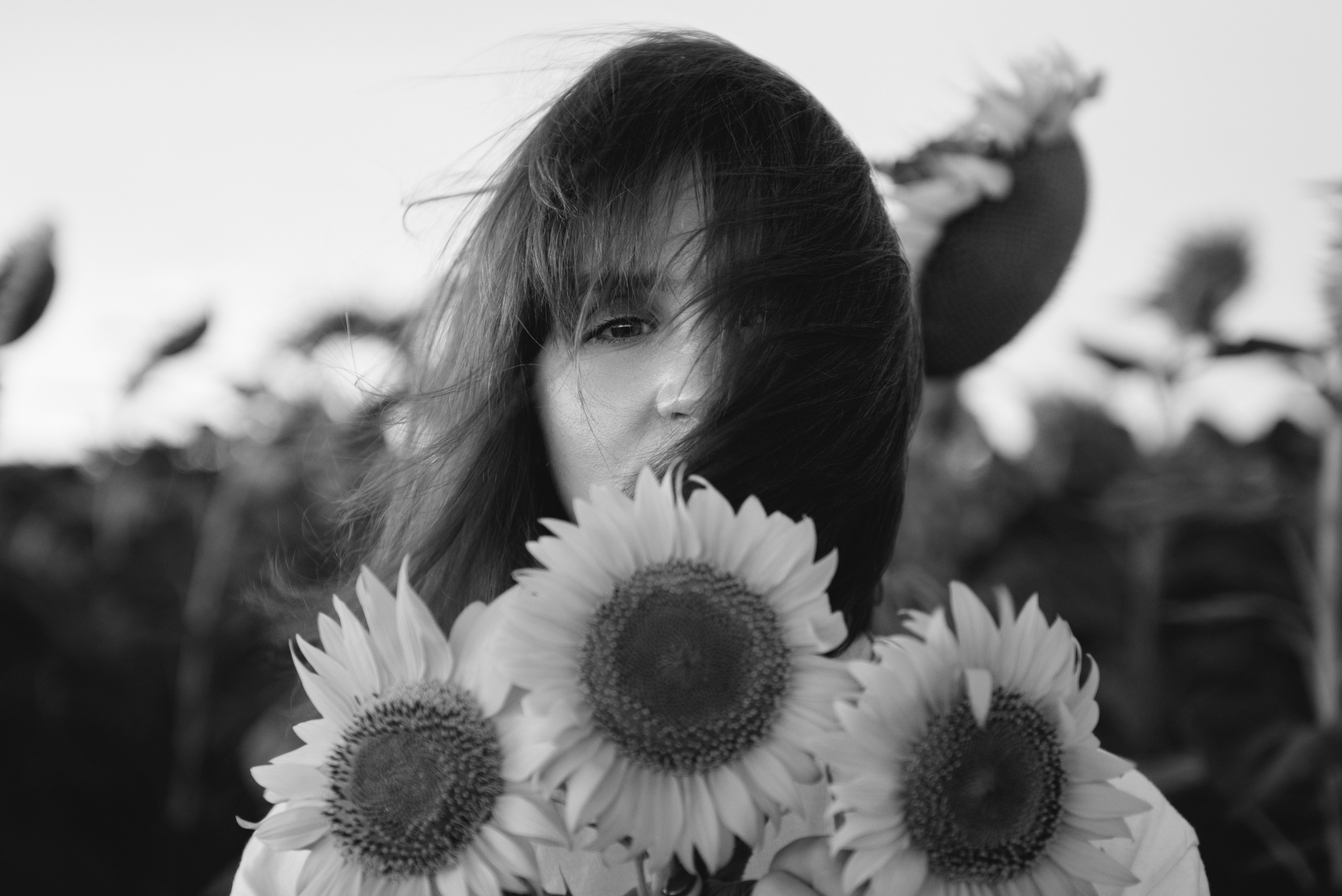 Подсолнухи. Семейный фотограф Саратов Маргарита Куликова