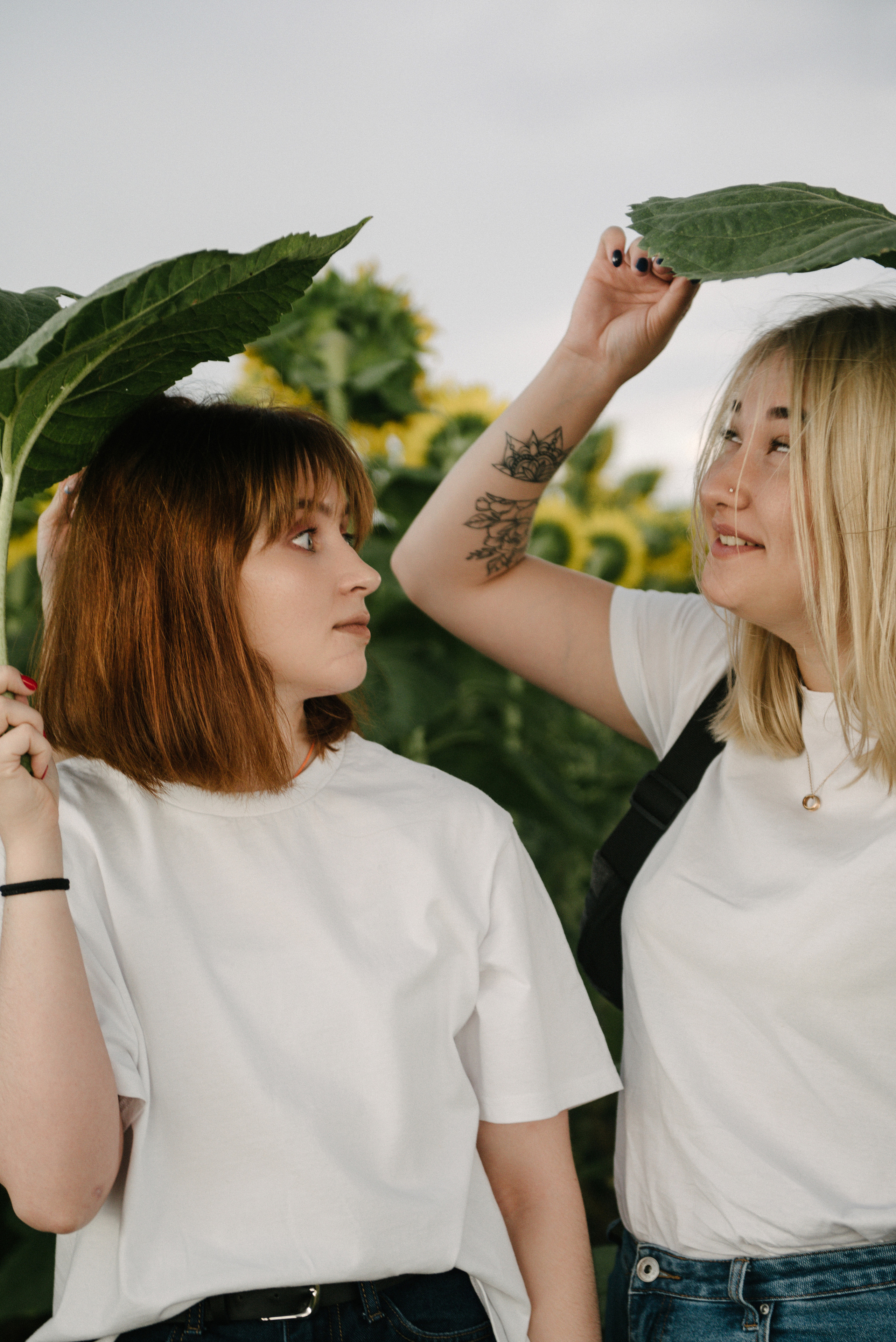 Подсолнухи. Семейный фотограф Саратов Маргарита Куликова