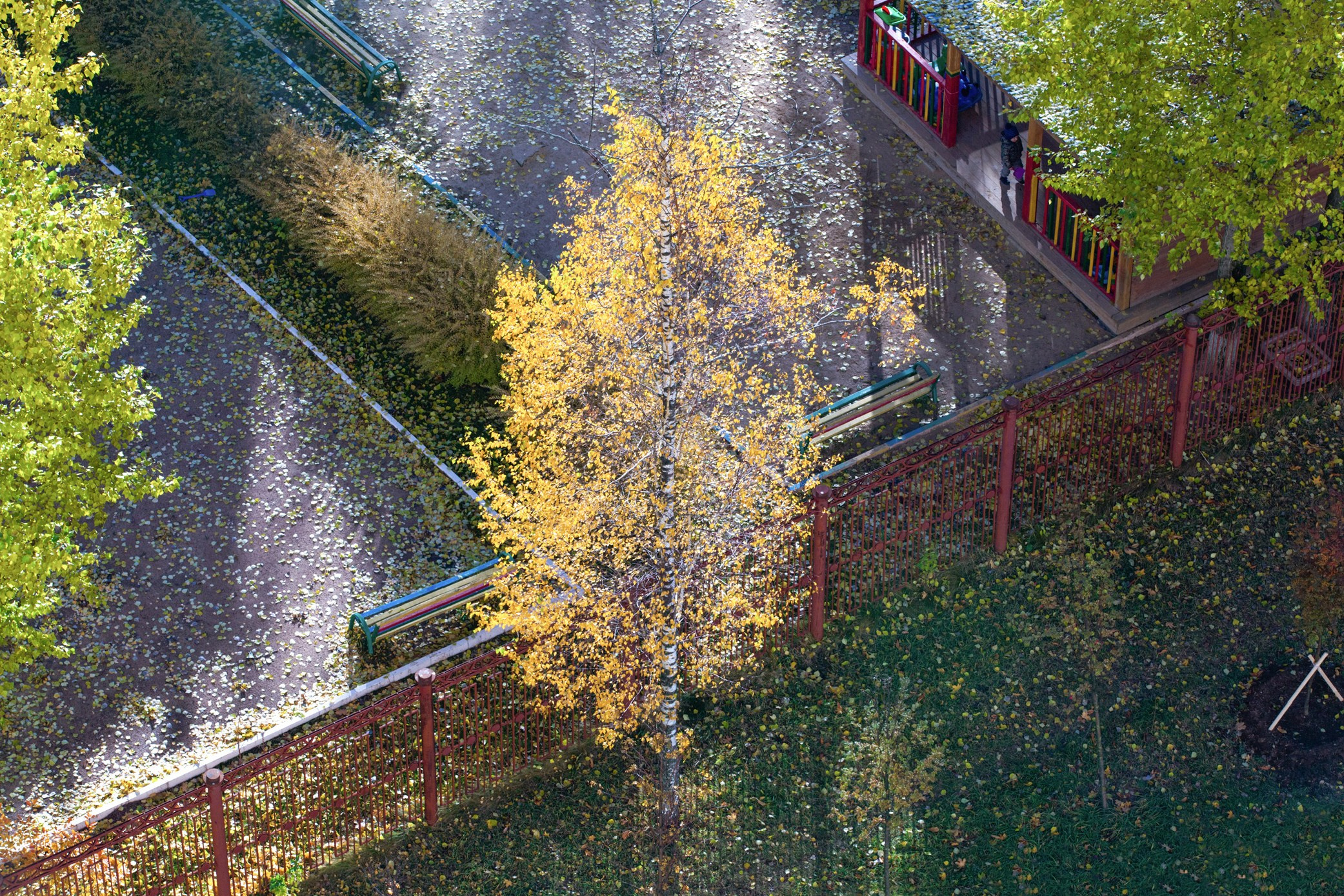 Симуляторы (Каталог № 3). Главная