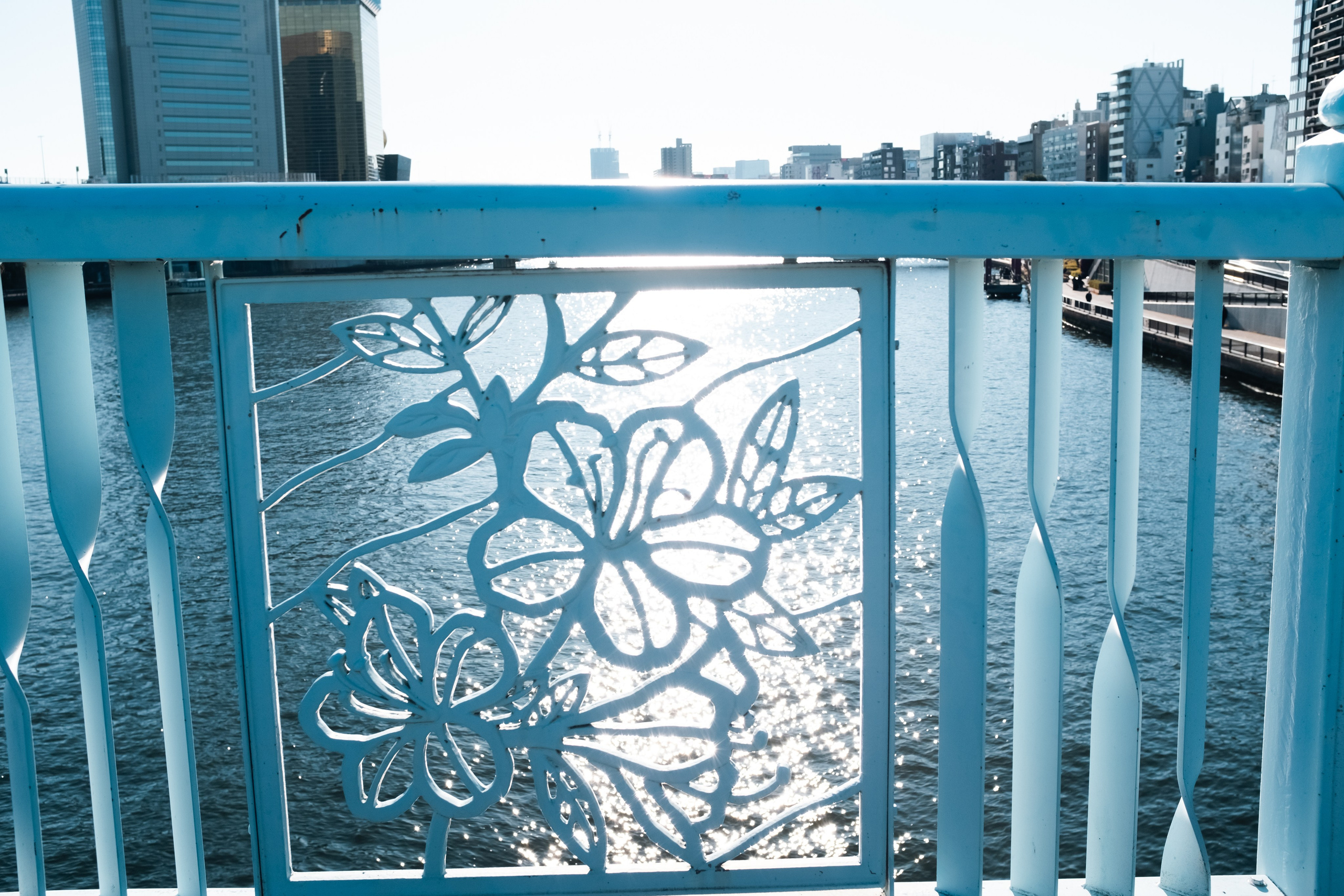 Tokyo. Regina Platonova