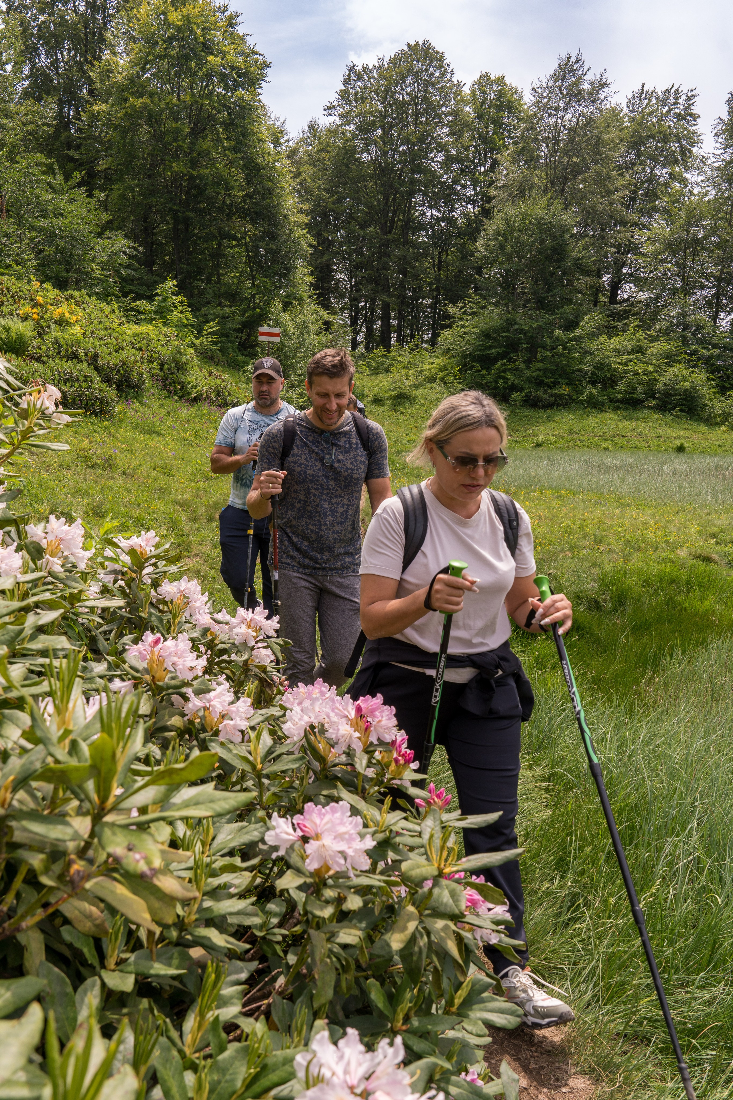 MICE мероприятие для компании «Доставка морем»: хайкинг к Ачипсинским водопадам. Репортажный фотограф в Красной Поляне и Сочи Павлюченко Екатерина
