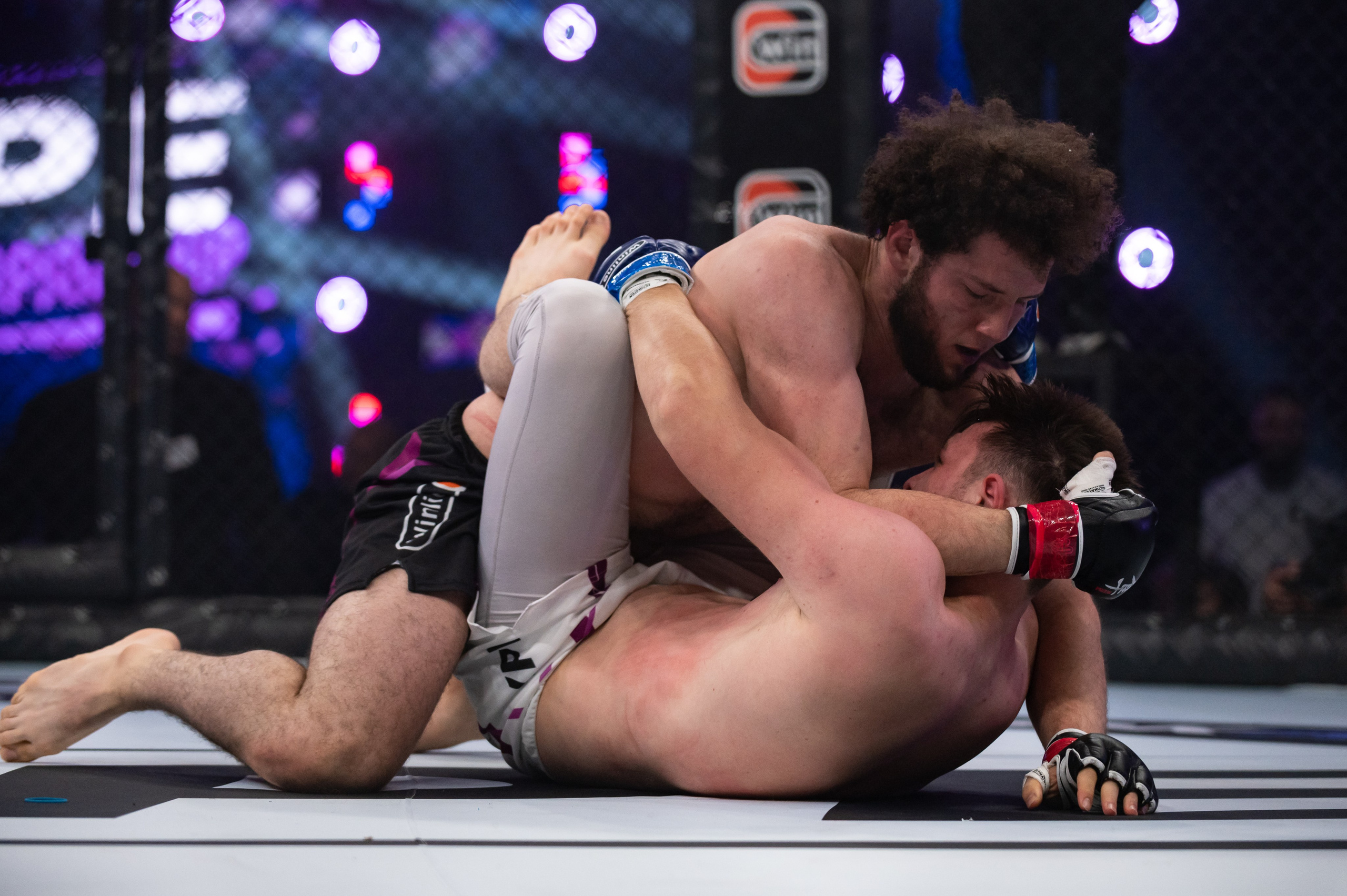 Бои. Репортажный фотограф в Красной Поляне и Сочи Павлюченко Екатерина