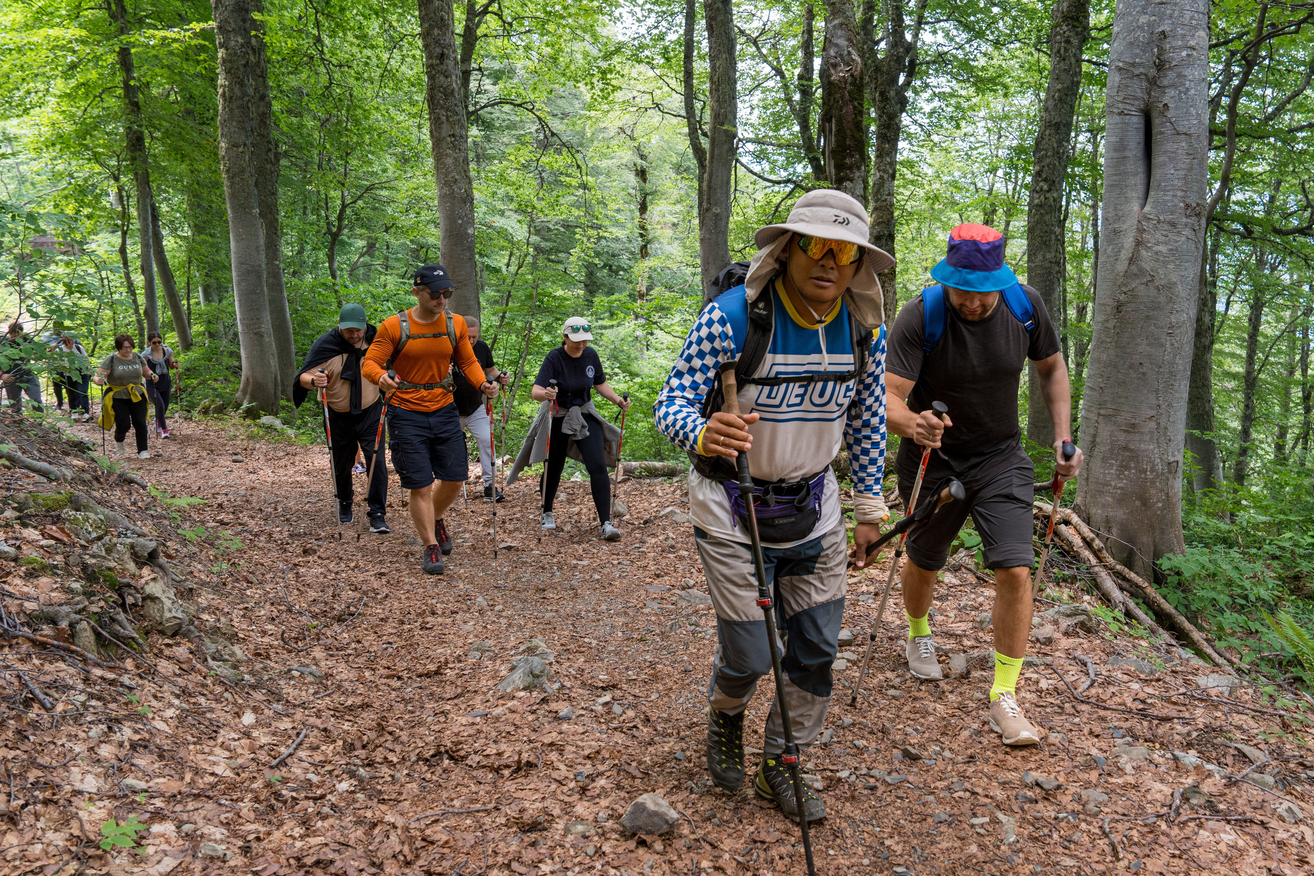 MICE мероприятие для компании «Доставка морем»: хайкинг к Ачипсинским водопадам. Репортажный фотограф в Красной Поляне и Сочи Павлюченко Екатерина
