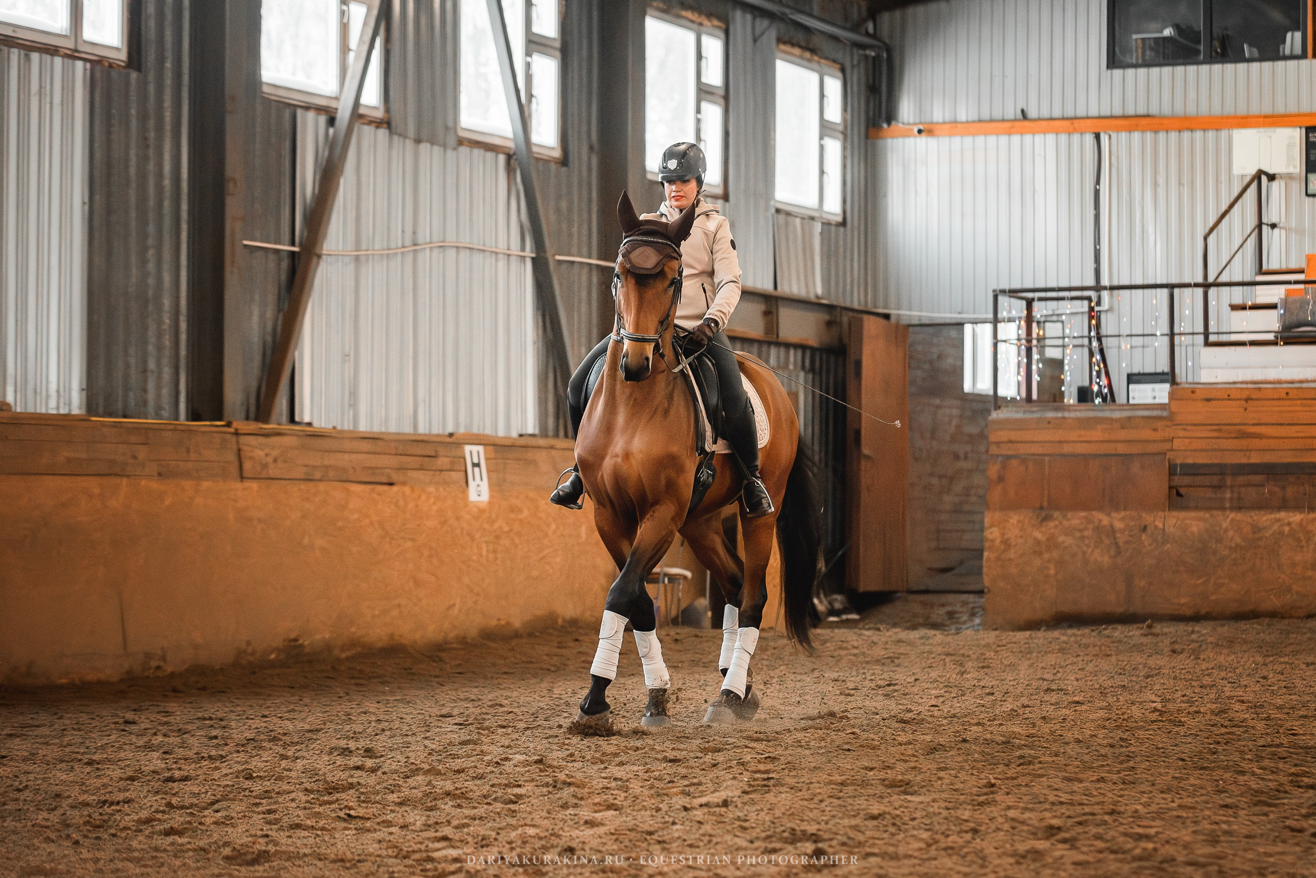 «ЮНА» Тренировка. Конный фотограф Куракина Дарья • Фотосессии с лошадьми