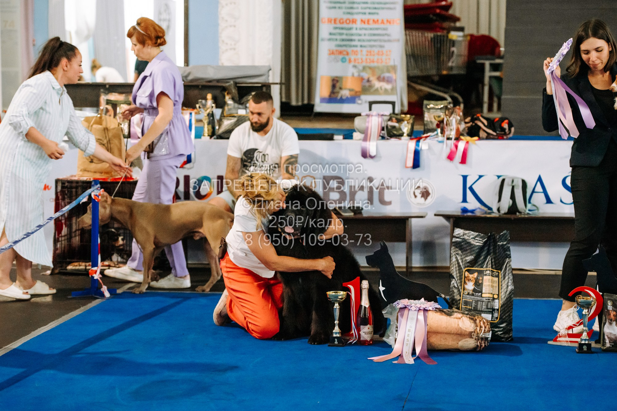 Национальная выставка собак всех пород ранга САС-IKU «Кубок Красноярск. Фотограф Диана Оленина Красноярск / Братск