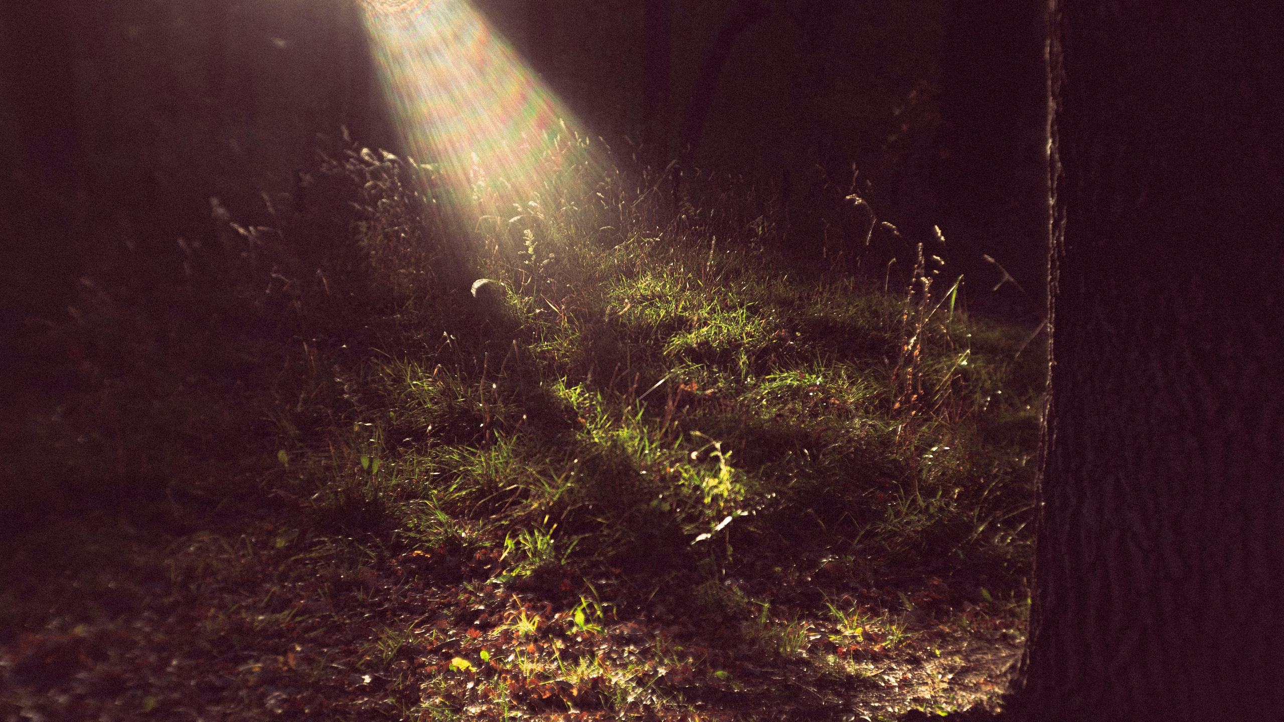 Пейзажи. Фотограф Димитровград Казань Валерия Владимиркина