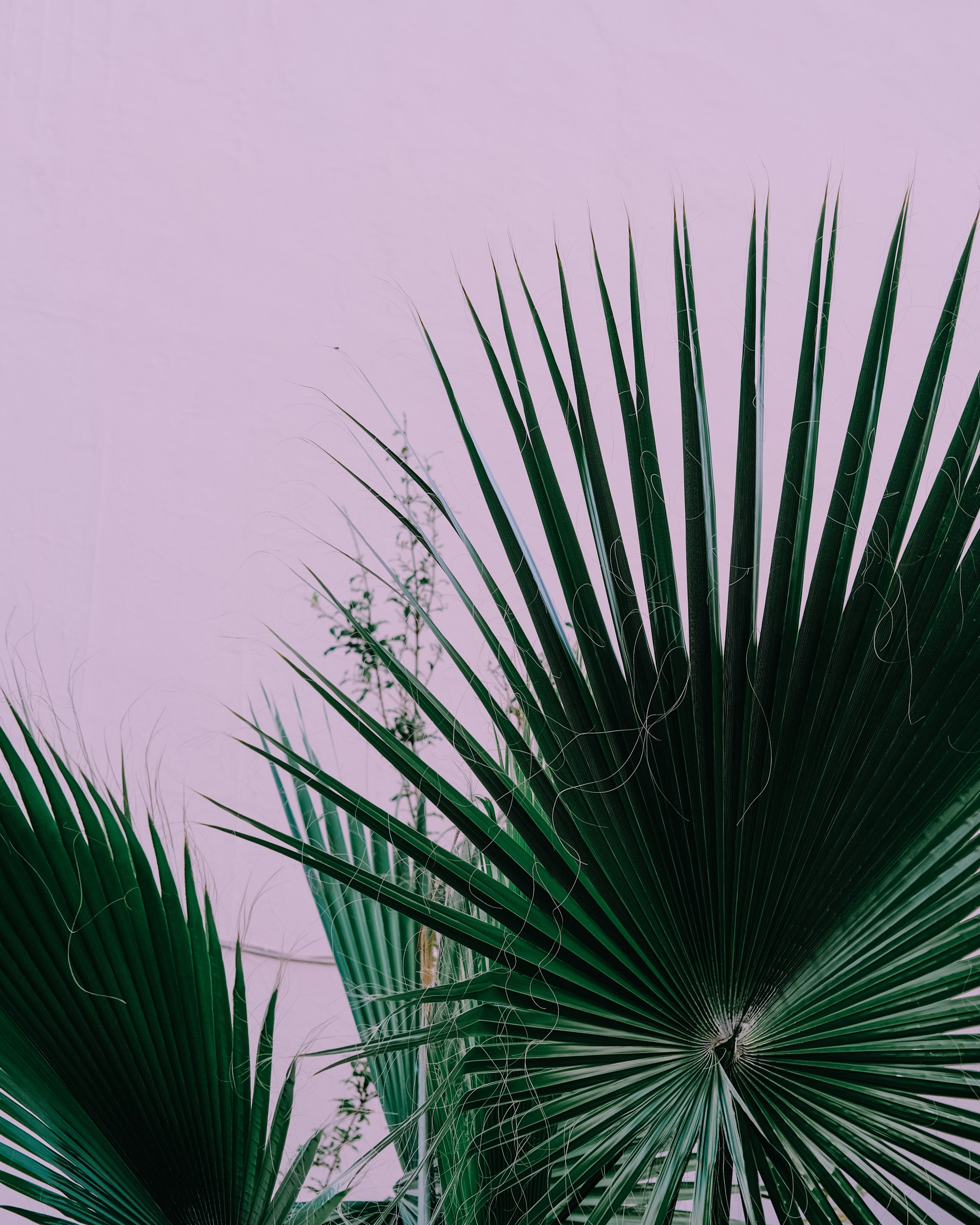 Lycian Way: Turkey. Обо мне