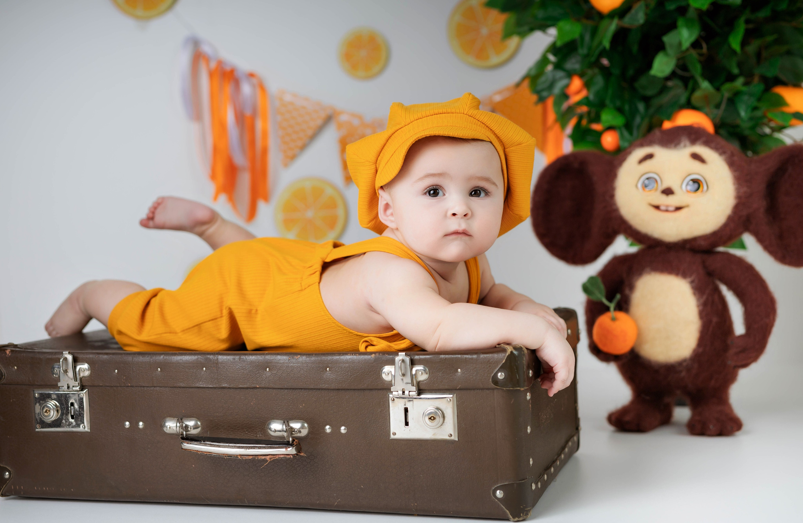 Апельсины. Фотограф Болотова Иветта