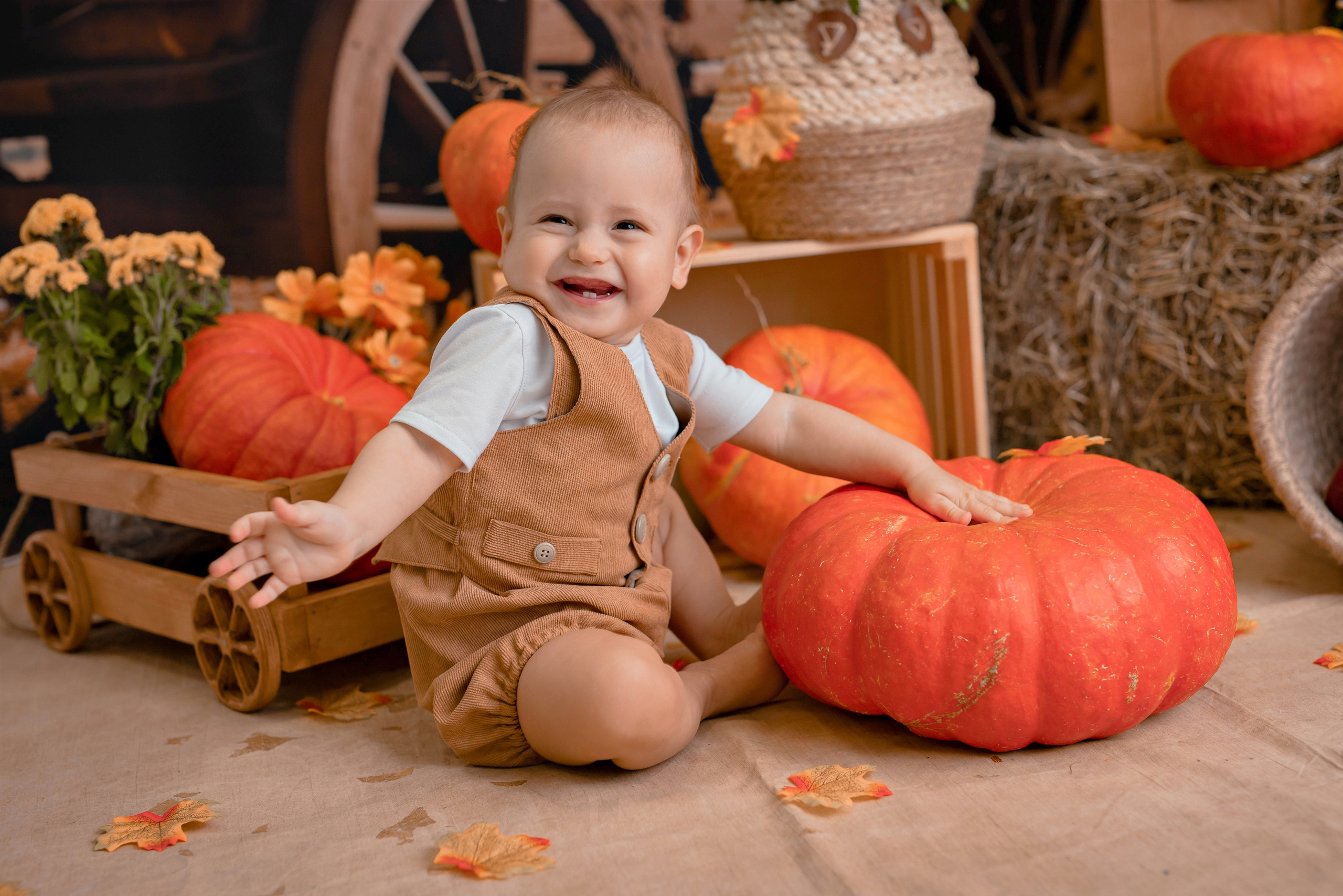 Тыквы. Фотограф Болотова Иветта