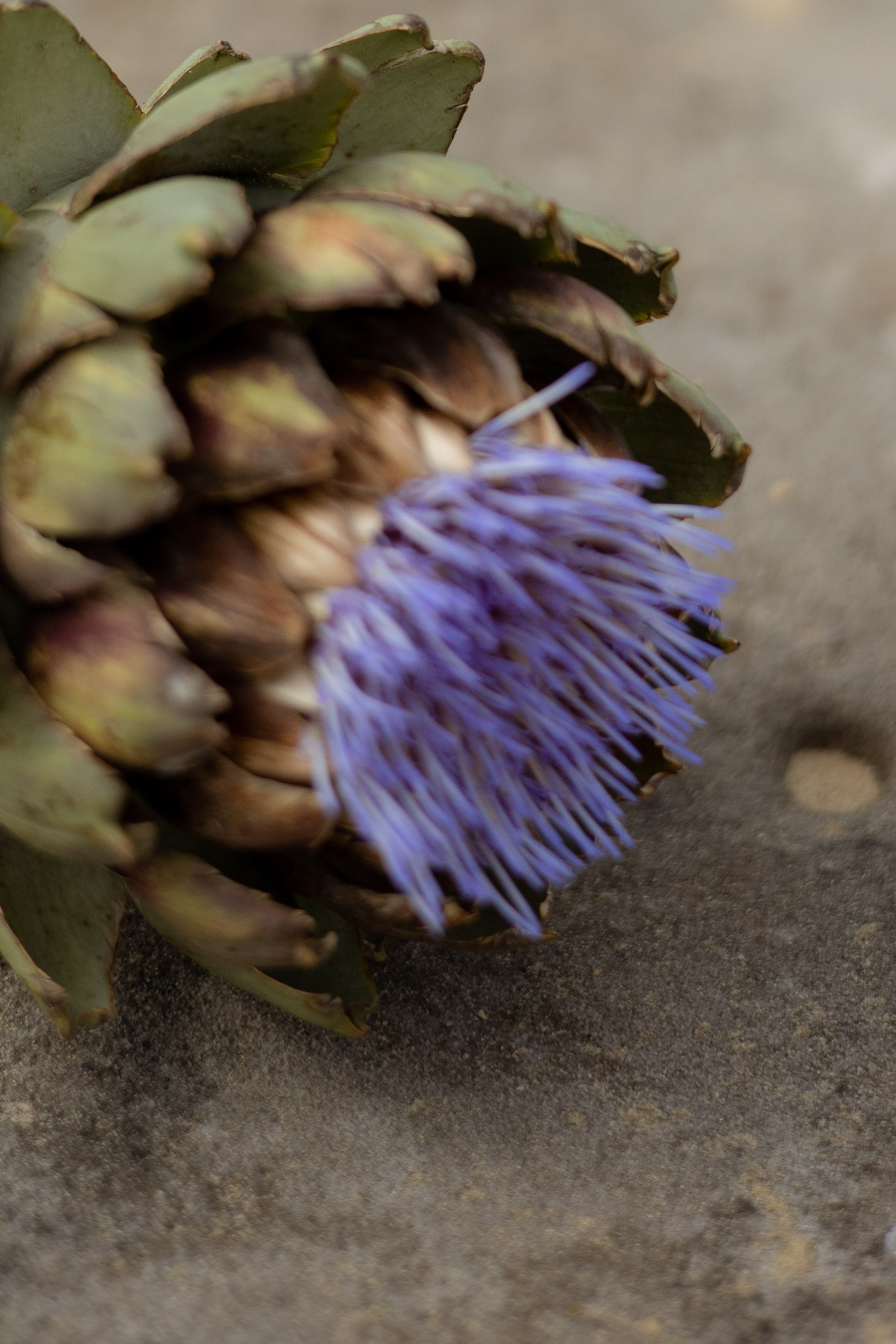 Пляж. Оформление свадеб, декор свадеб Вера Маркова, Москва
