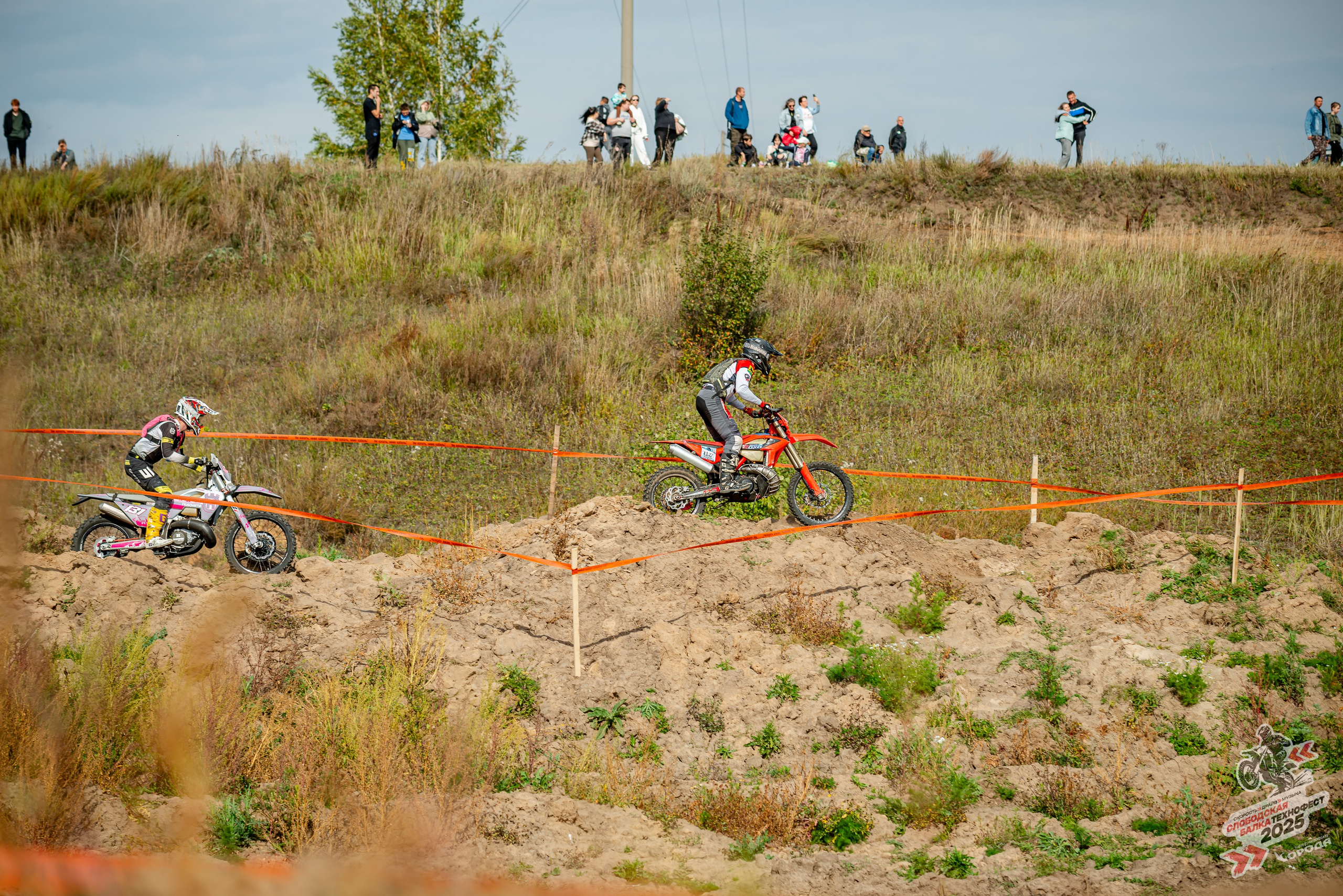 Слободская балка 2025. Фотограф | Макс Борода