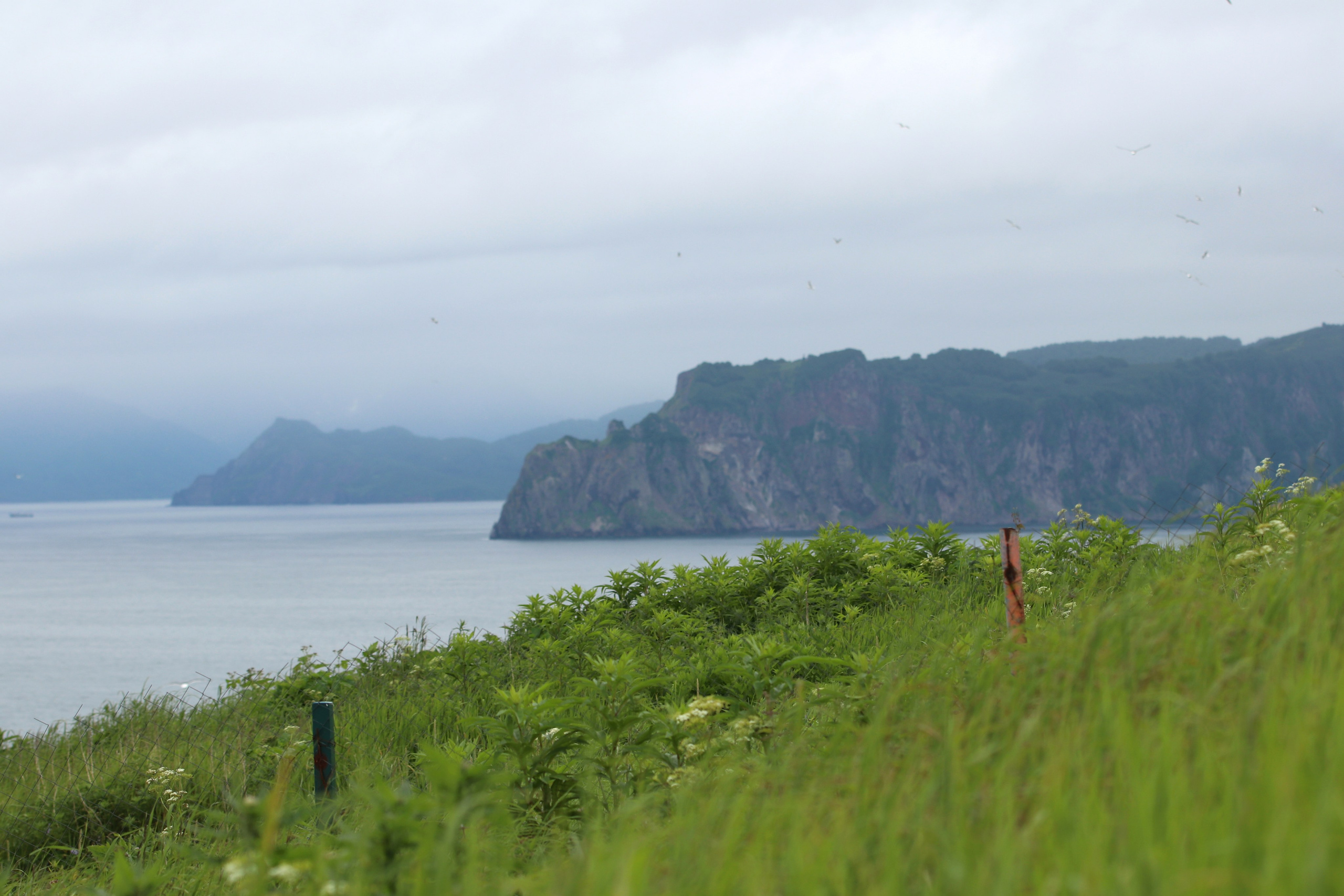 Камчатка и о. Парамушир. Июль 2024. Путешественник-фотограф из Санкт-Петербурга Татьяна Свистулина