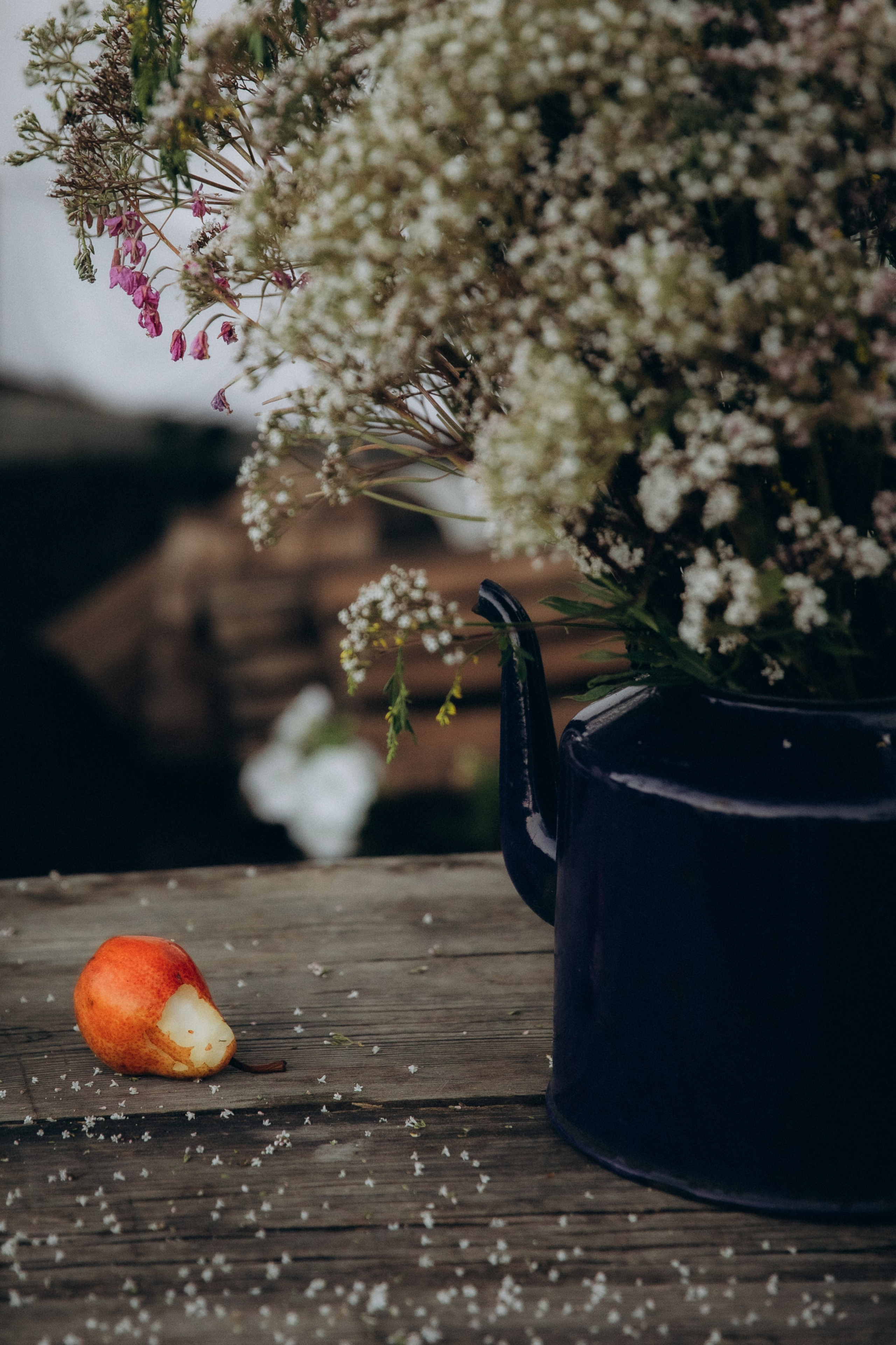 Вечер в саду. Фотограф  Челябинск Варвара Шарапова