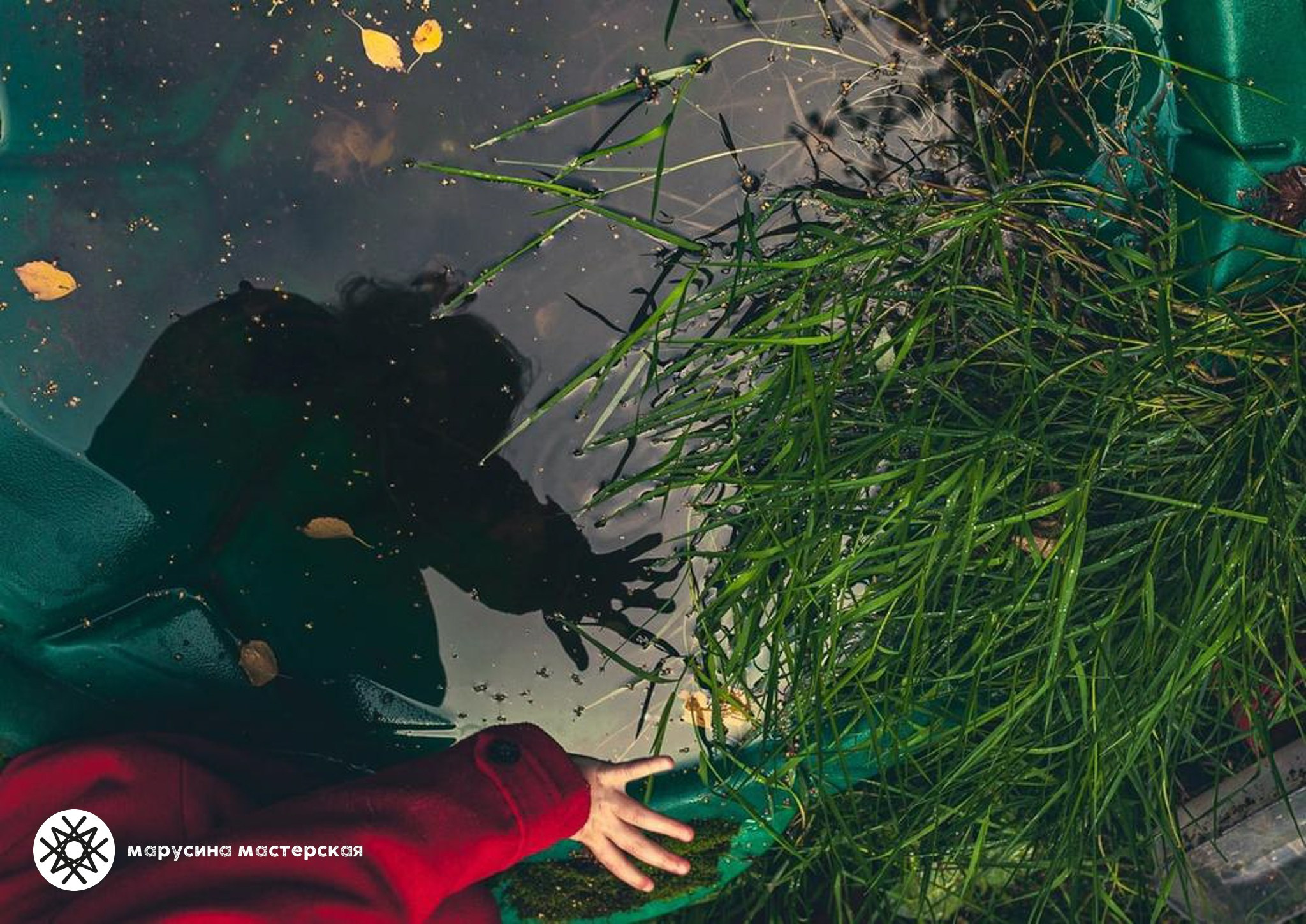 Дарья Насонова