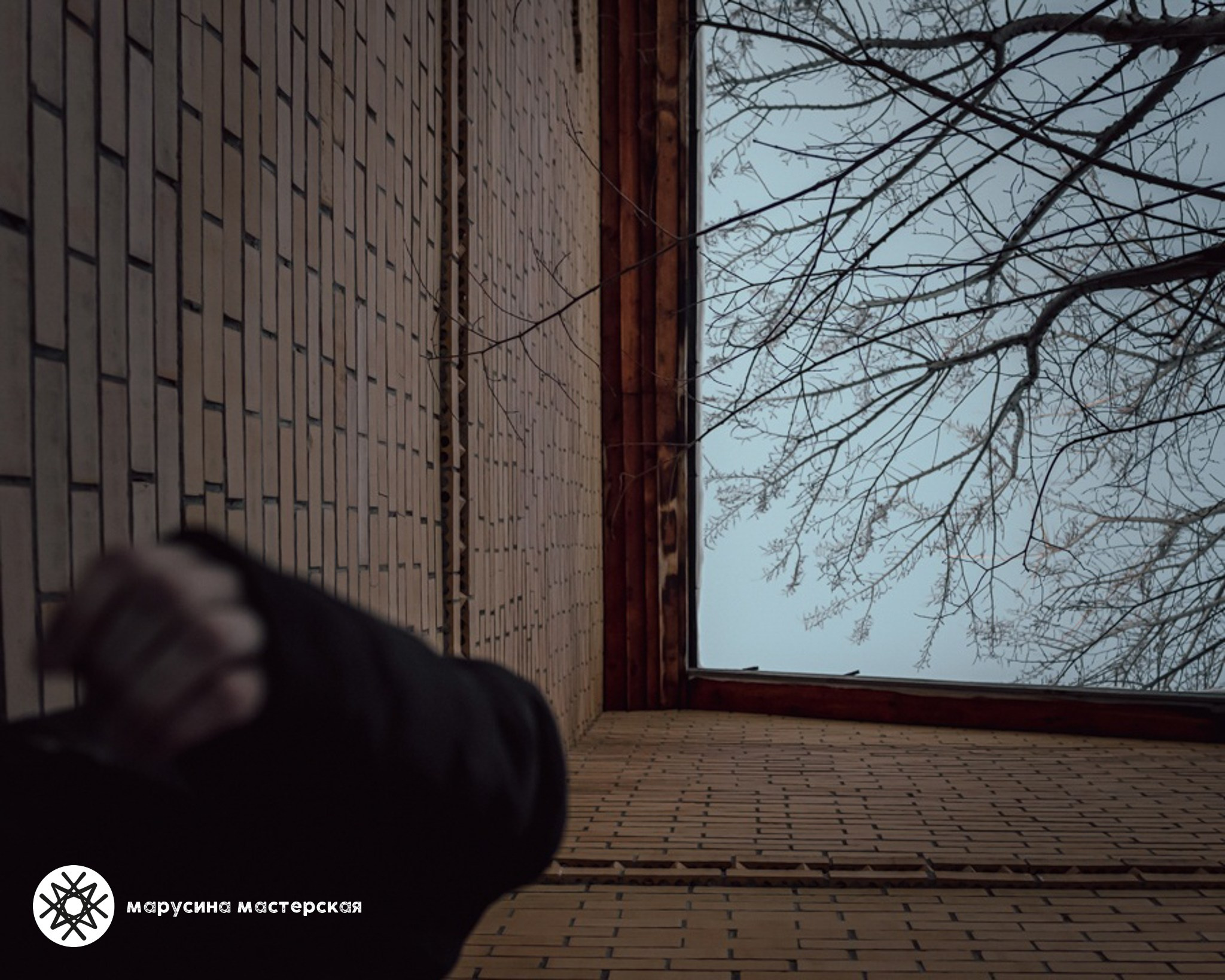 Творческая фотография, снятая в рамках зимней творческой практики, автор — Алина Бояринова