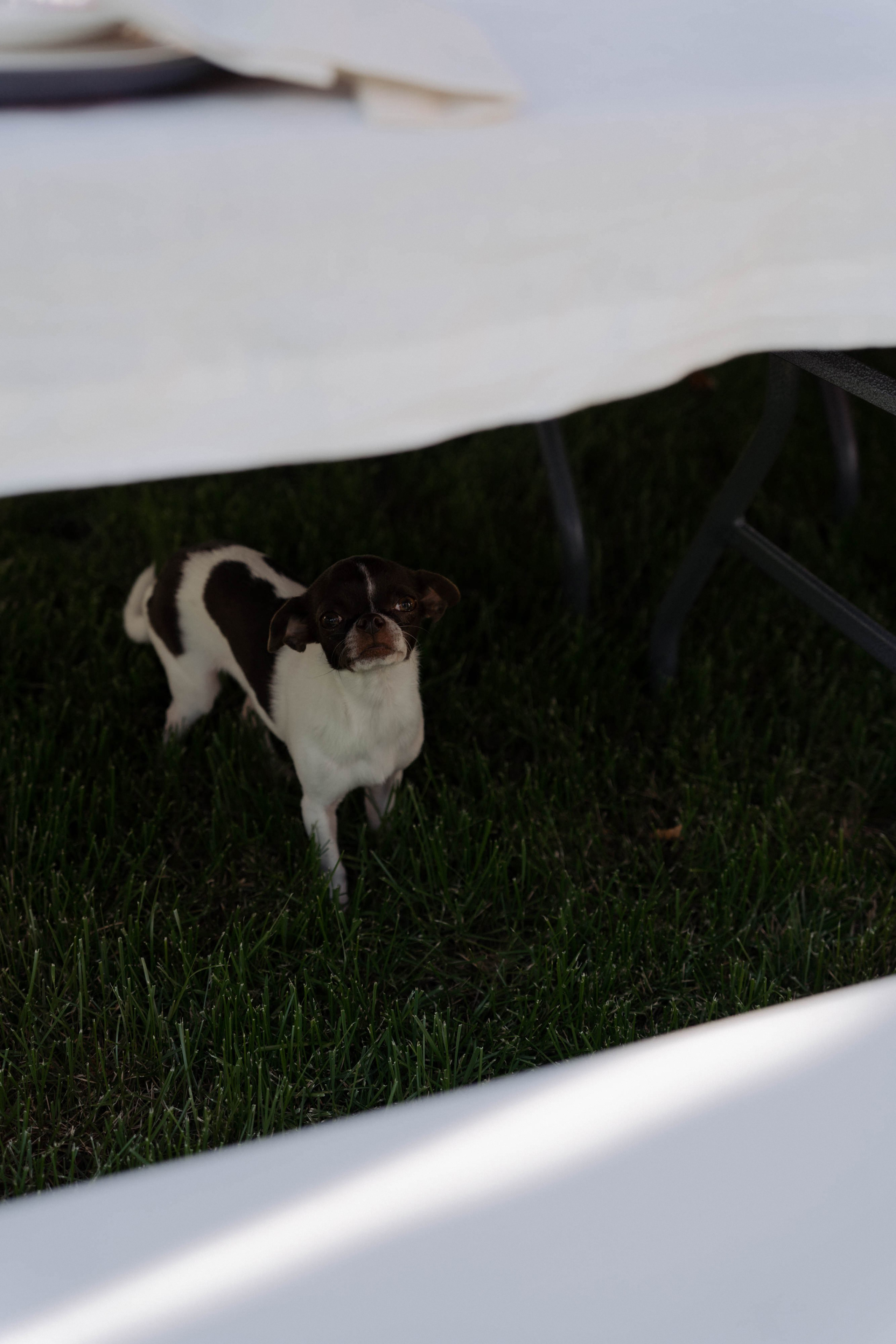 День рождения Марии. ФОТОГРАФ КСЕНИЯ СОСНОВСКАЯ