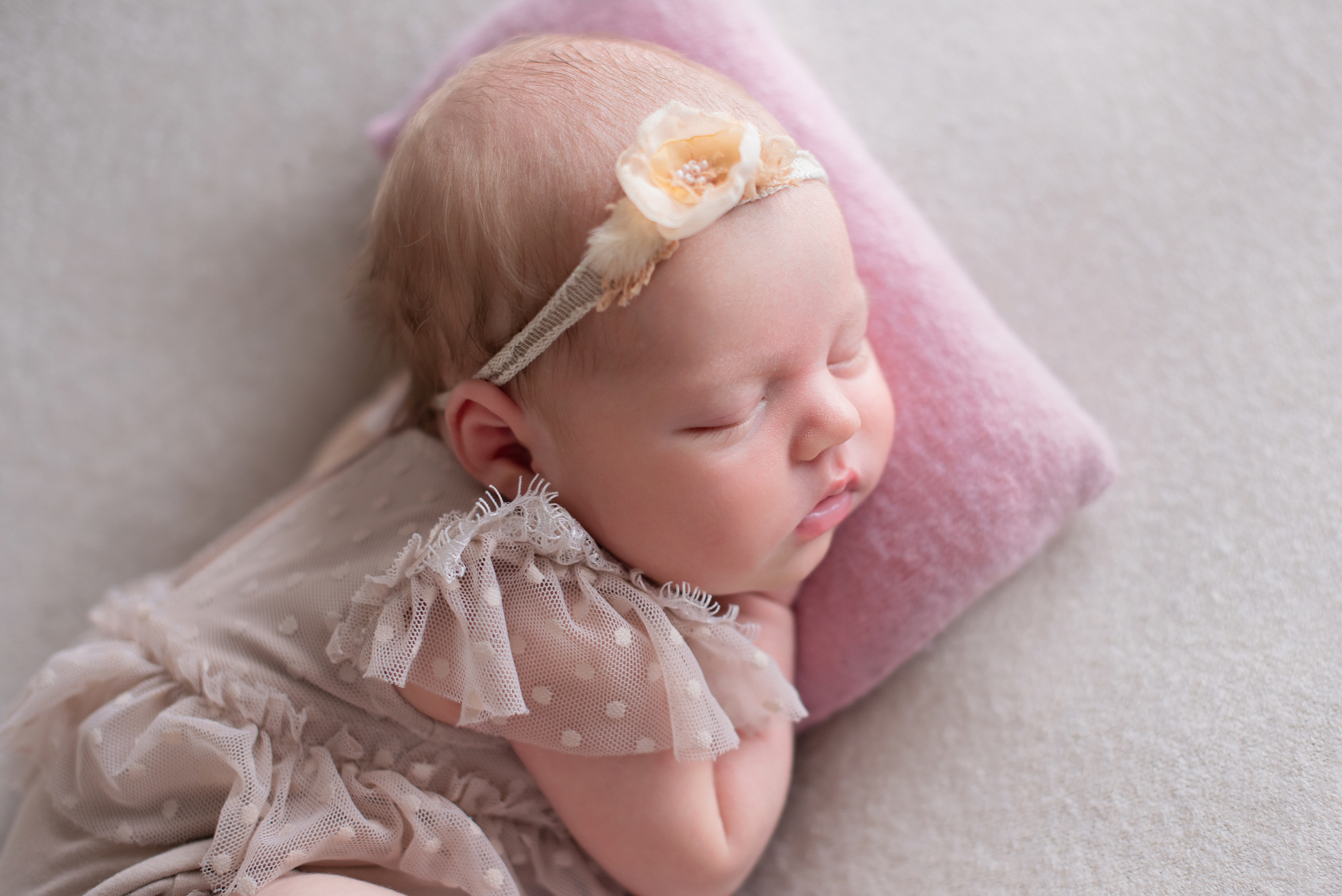Дарья, 12 дней. Детский и семейный фотограф в Красноярске. Фотосессии новорожденных малышей до 1 месяца