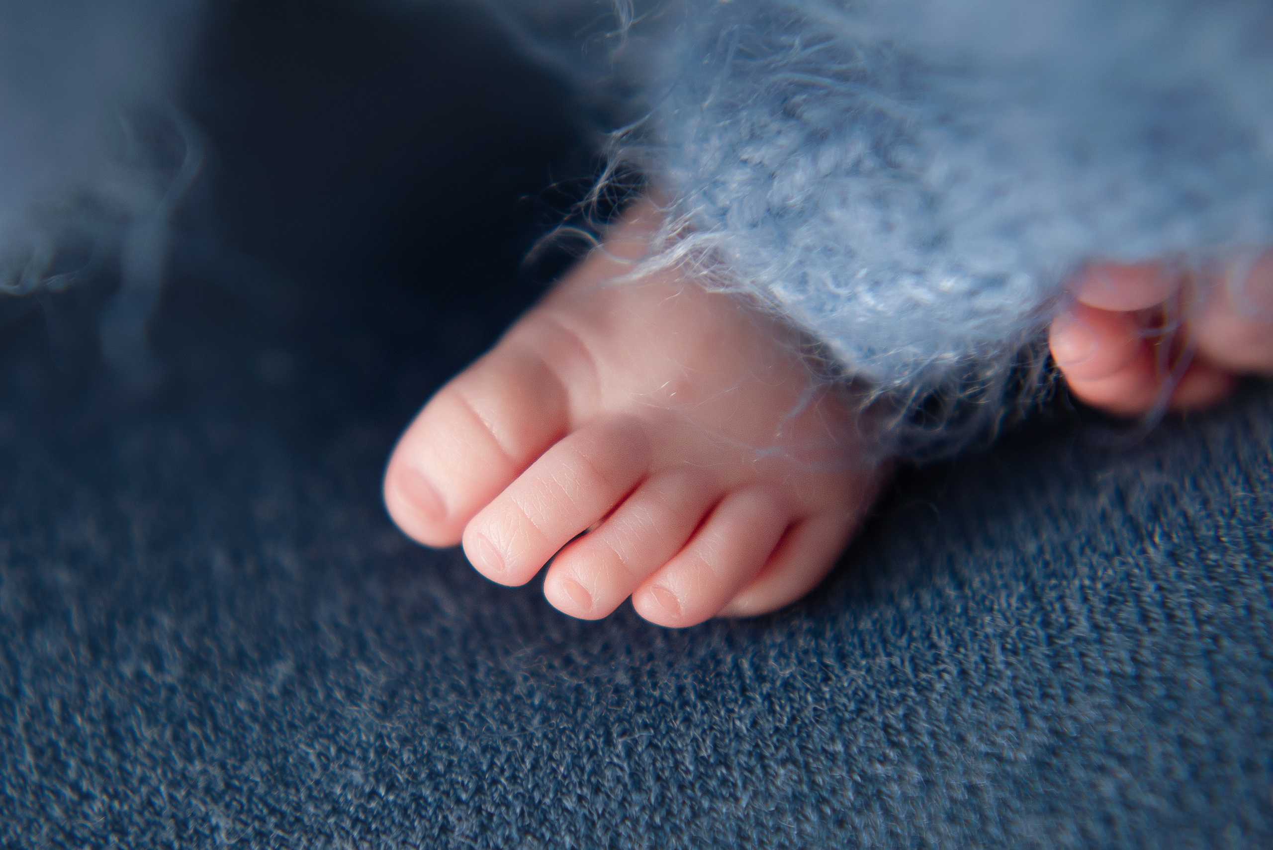 Владимир, 1 мес. Детский и семейный фотограф в Красноярске. Фотосессии новорожденных малышей до 1 месяца