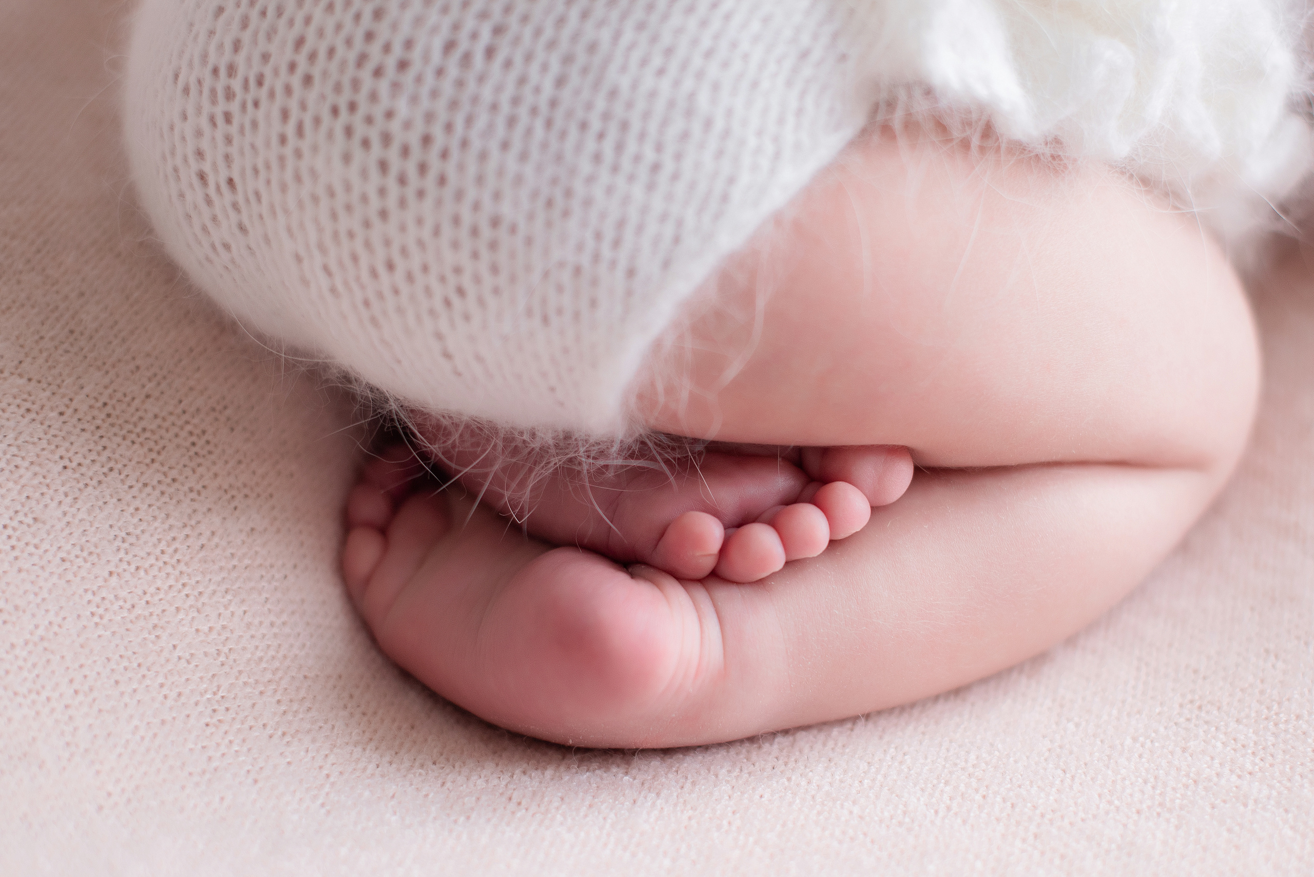 Дарья, 12 дней. Детский и семейный фотограф в Красноярске. Фотосессии новорожденных малышей до 1 месяца