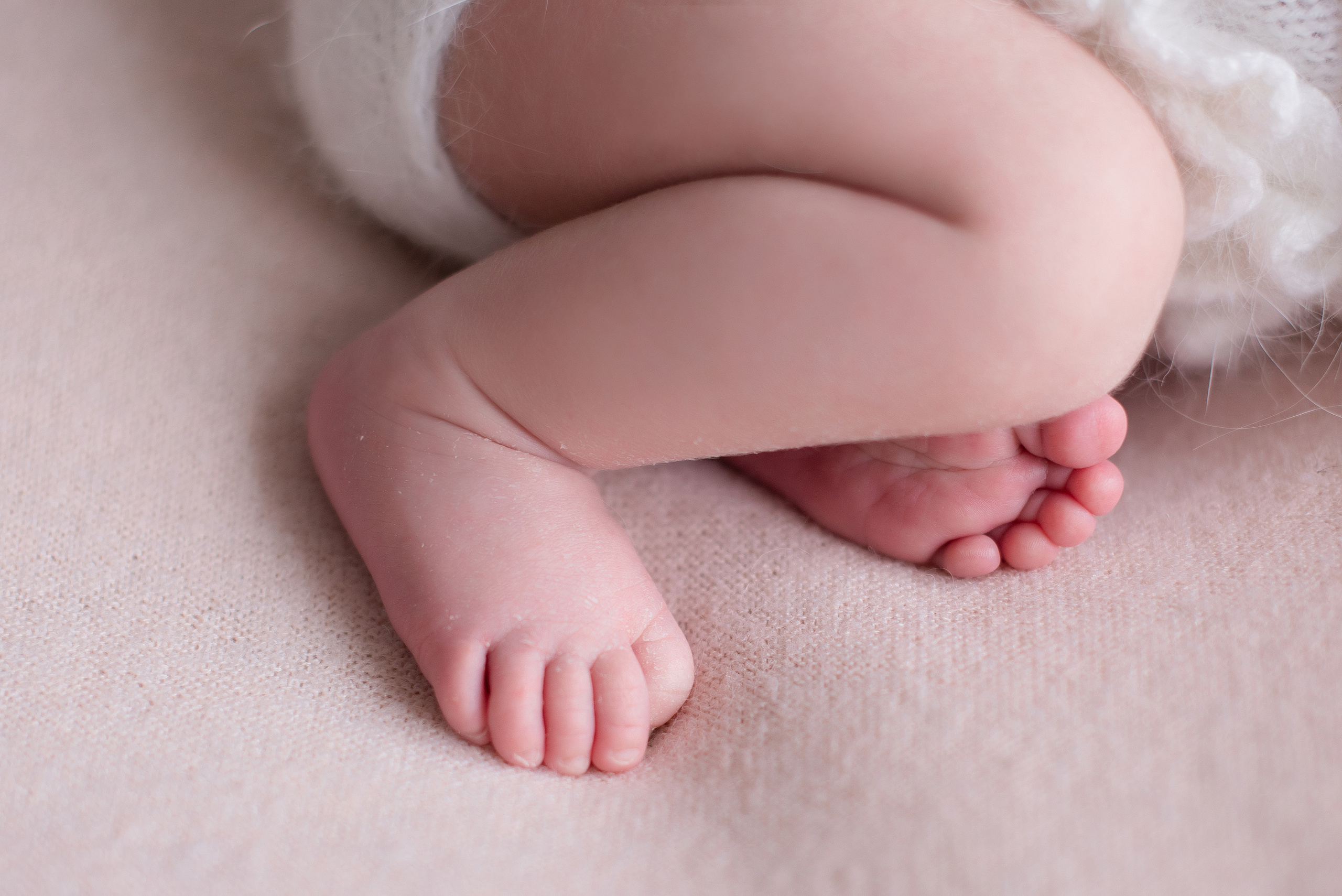 Дарья, 12 дней. Детский и семейный фотограф в Красноярске. Фотосессии новорожденных малышей до 1 месяца