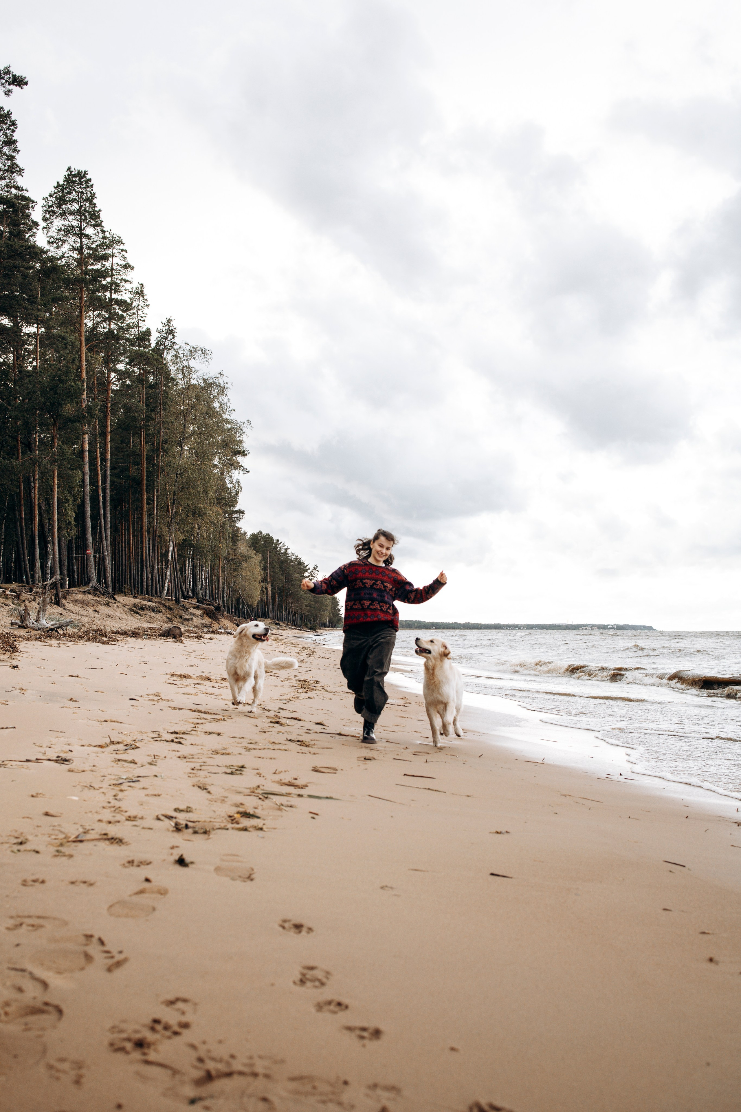 Прогулка Насти с Арчи и Арагоном. Фотограф-анималист в Санкт-Петеребурге Титова Алиса