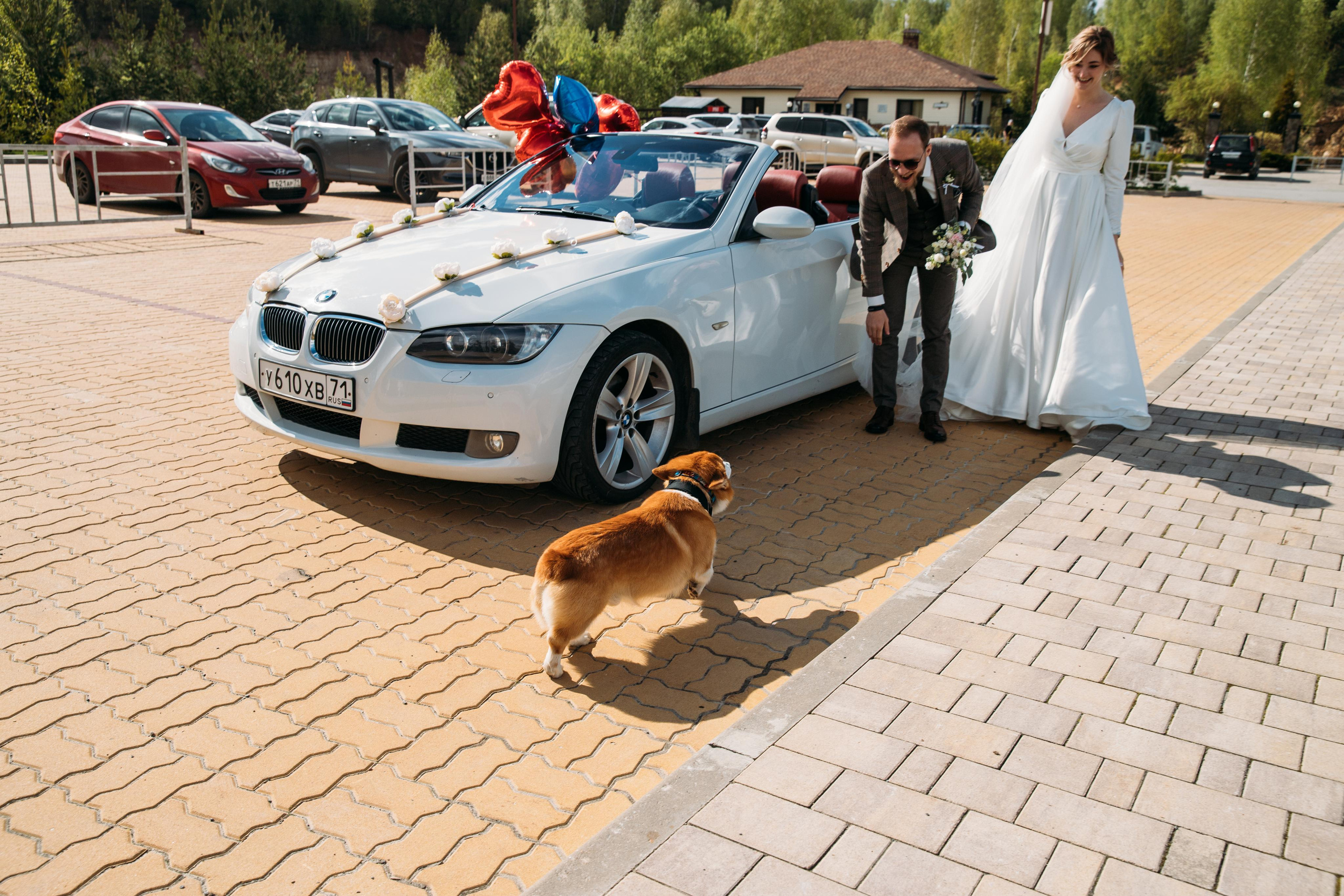 Дима и Яна. Женский и семейный фотограф в Туле Катя Вуколова