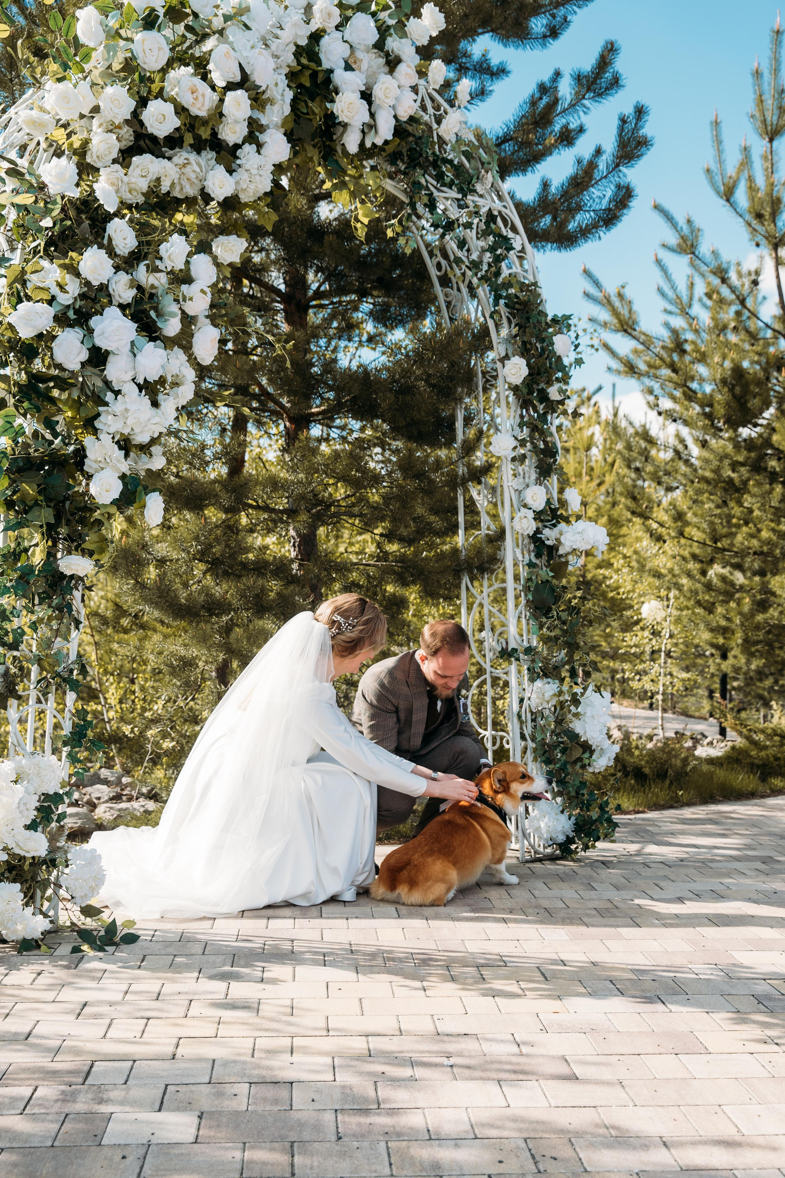 Дима и Яна. Женский и семейный фотограф в Туле Катя Вуколова