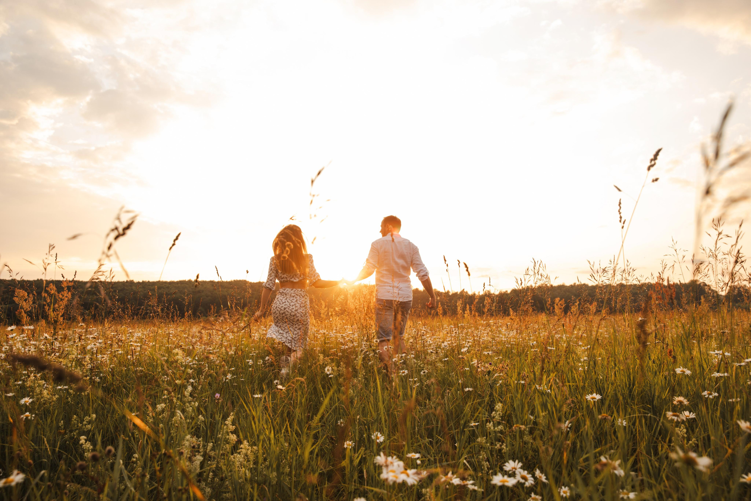 Ромашковый вечер. Женский и семейный фотограф в Туле Катя Вуколова