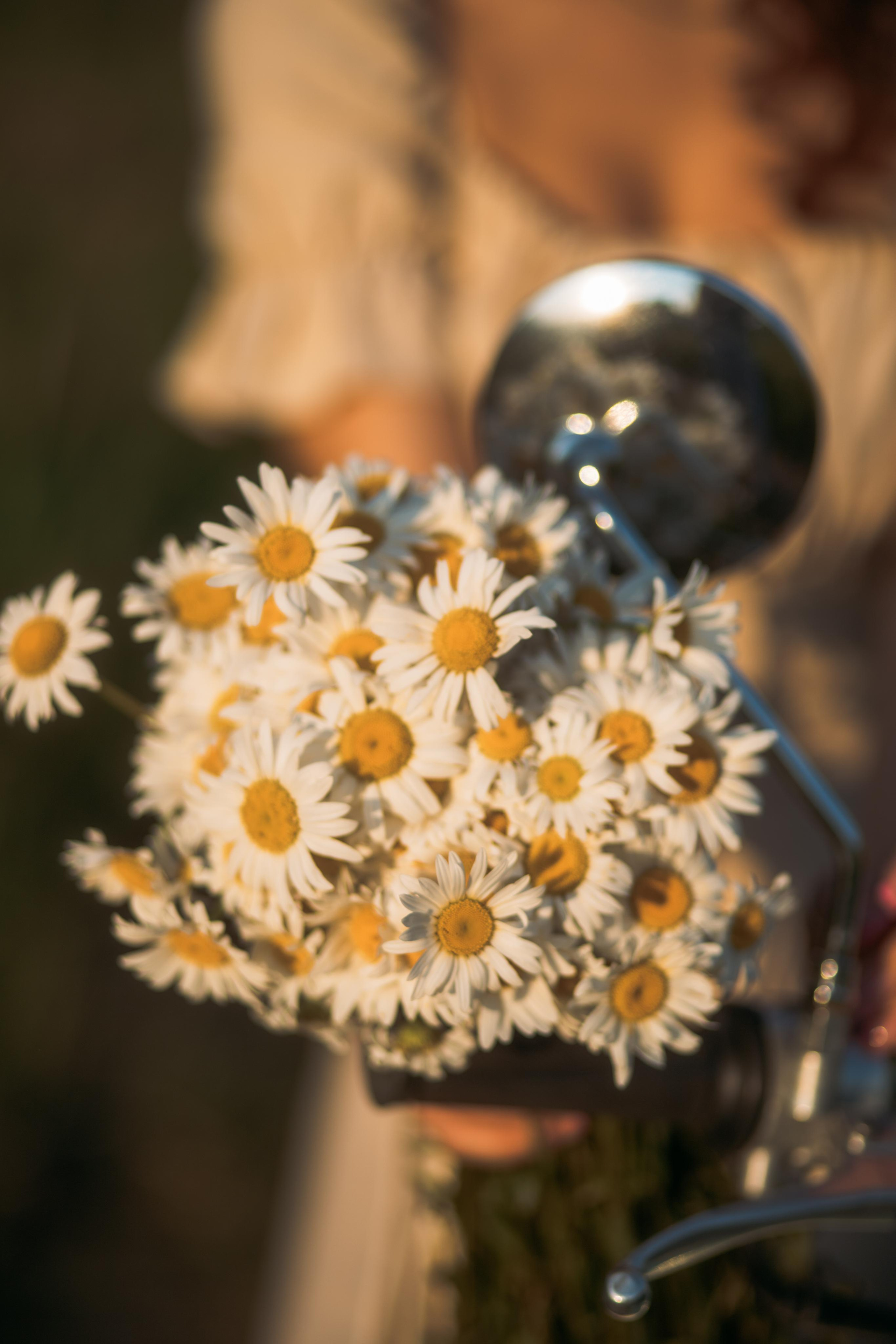 Один из закатов одного июня. Женский и семейный фотограф в Туле Катя Вуколова