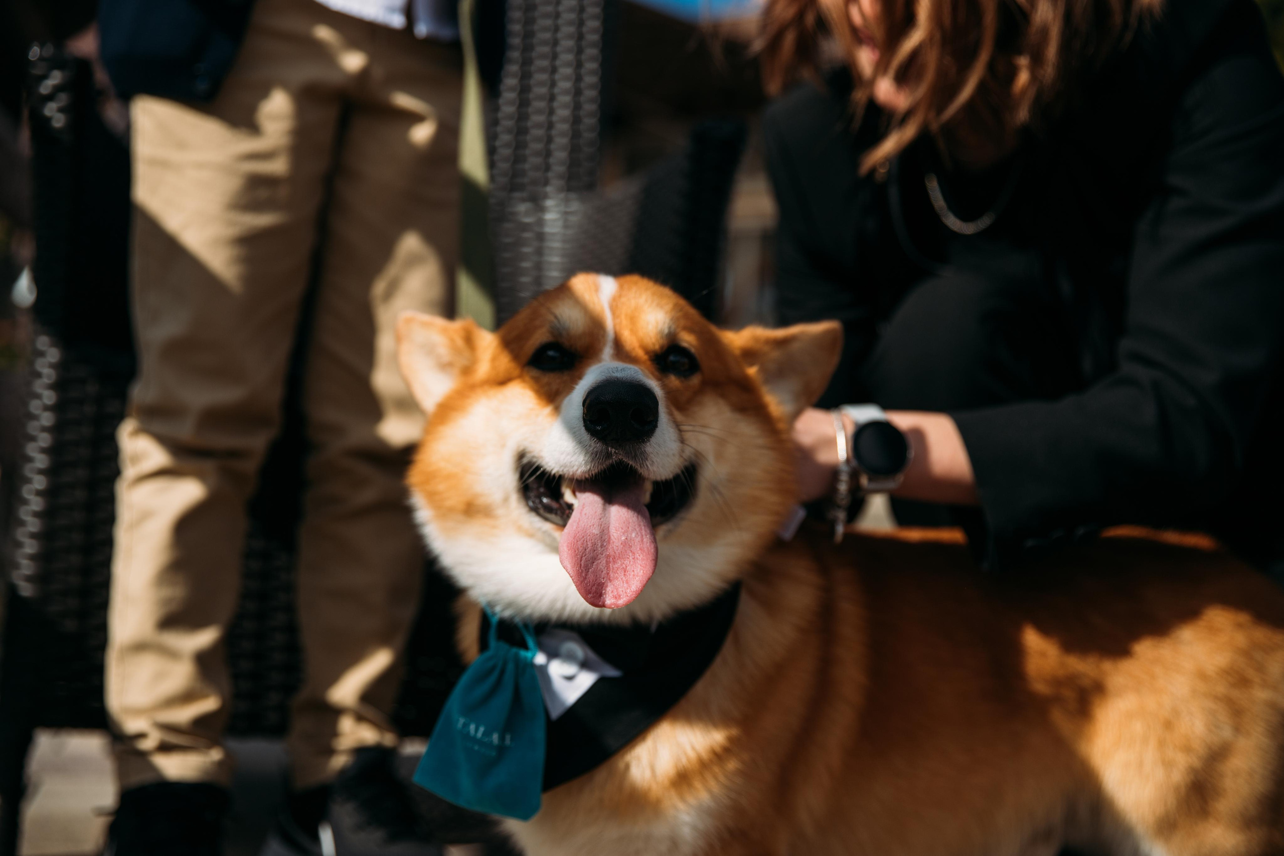 Дима и Яна. Женский и семейный фотограф в Туле Катя Вуколова