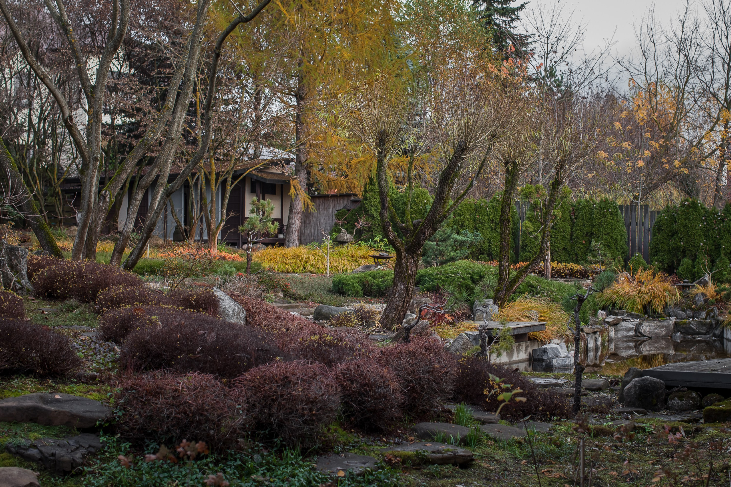 Личный сад Елены Асташкиной (осень). Фотограф Виталий Туманов. Туманов Виталий — фотограф Москва