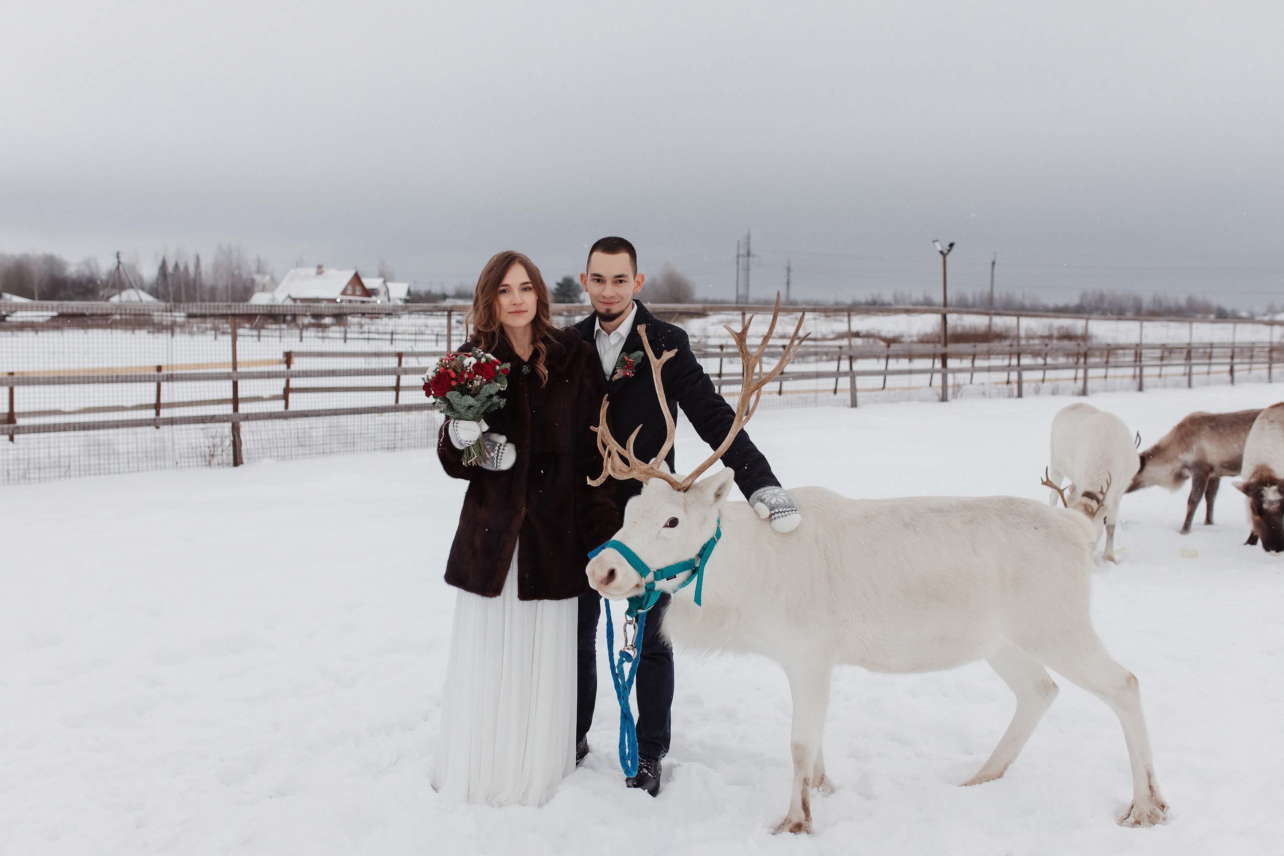 Алексей & Ксения. Свадебный и семейный фотограф Санкт-Петербурга Мария Родионова