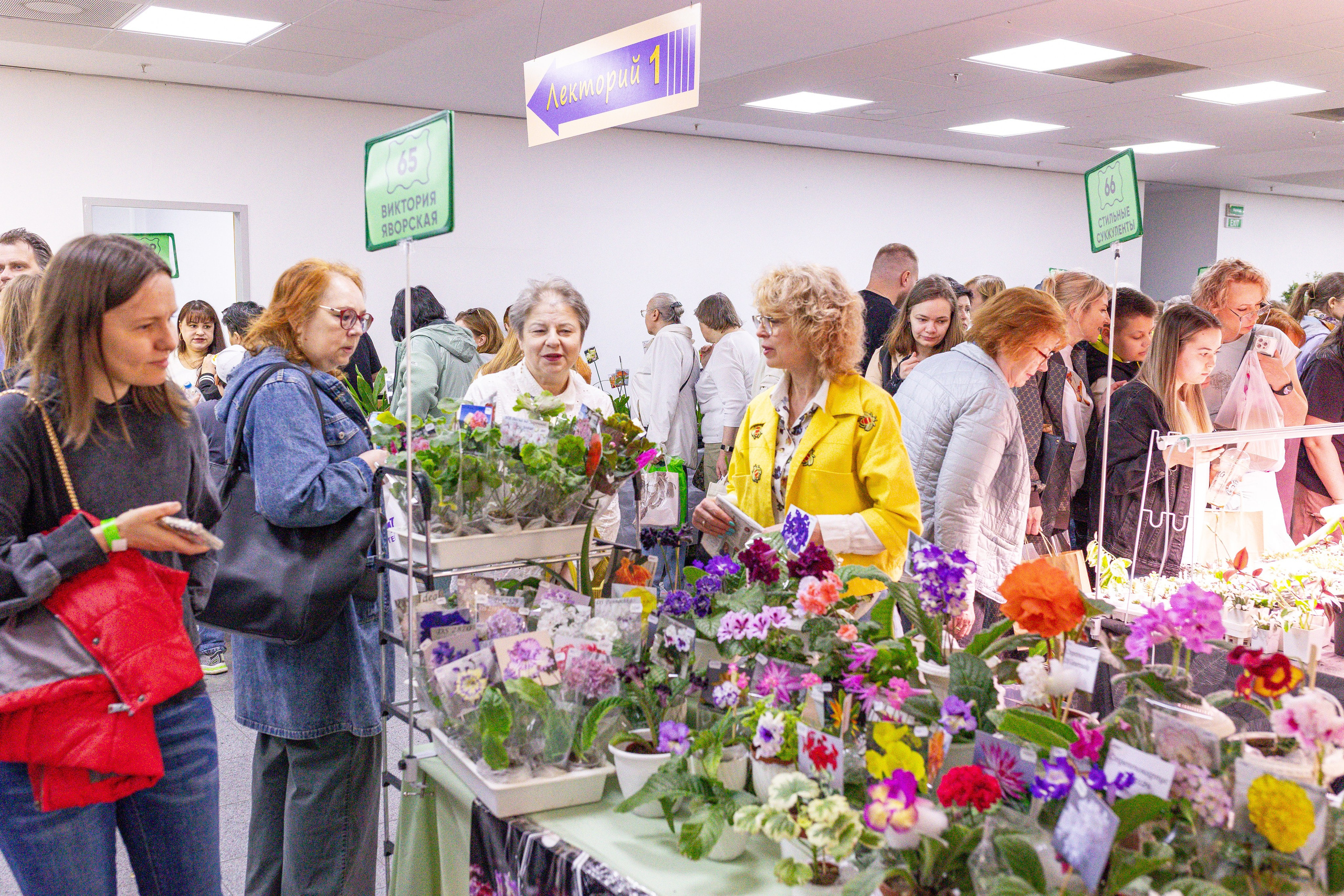 Орхидиум май 2025. Александра Куликова фотограф, Москва