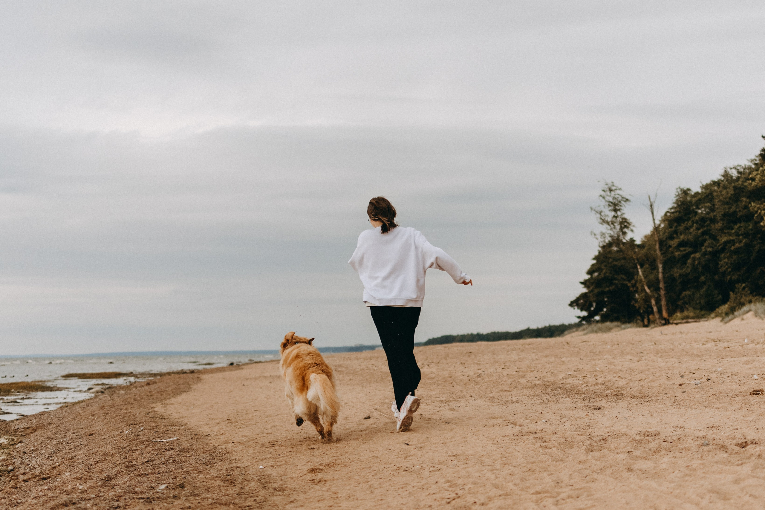 Фоси и его семьи. Фотограф — Анималист | Санкт-Петербург