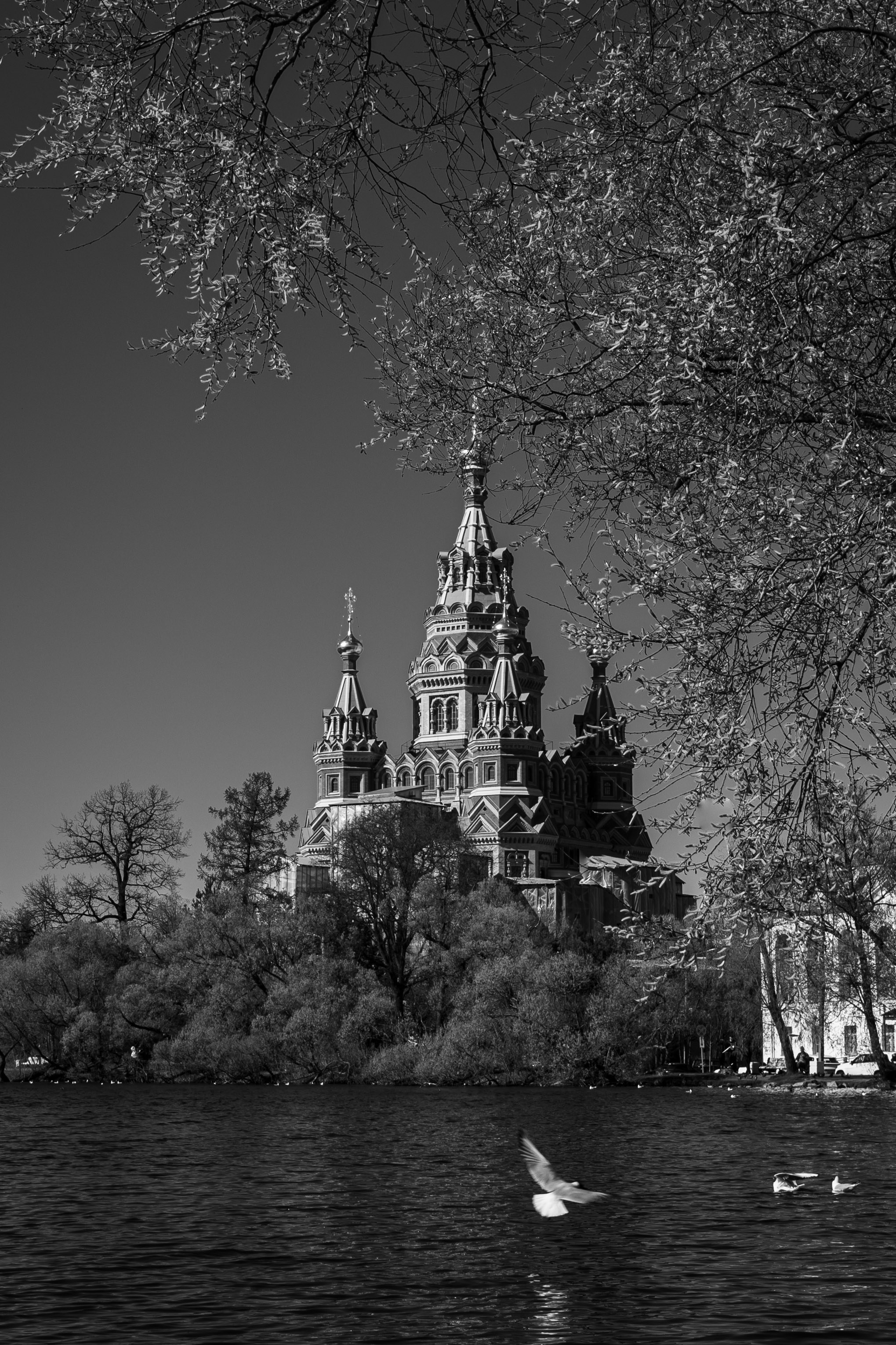 Санкт — Петербург | май 2026 г. Фотограф Казань