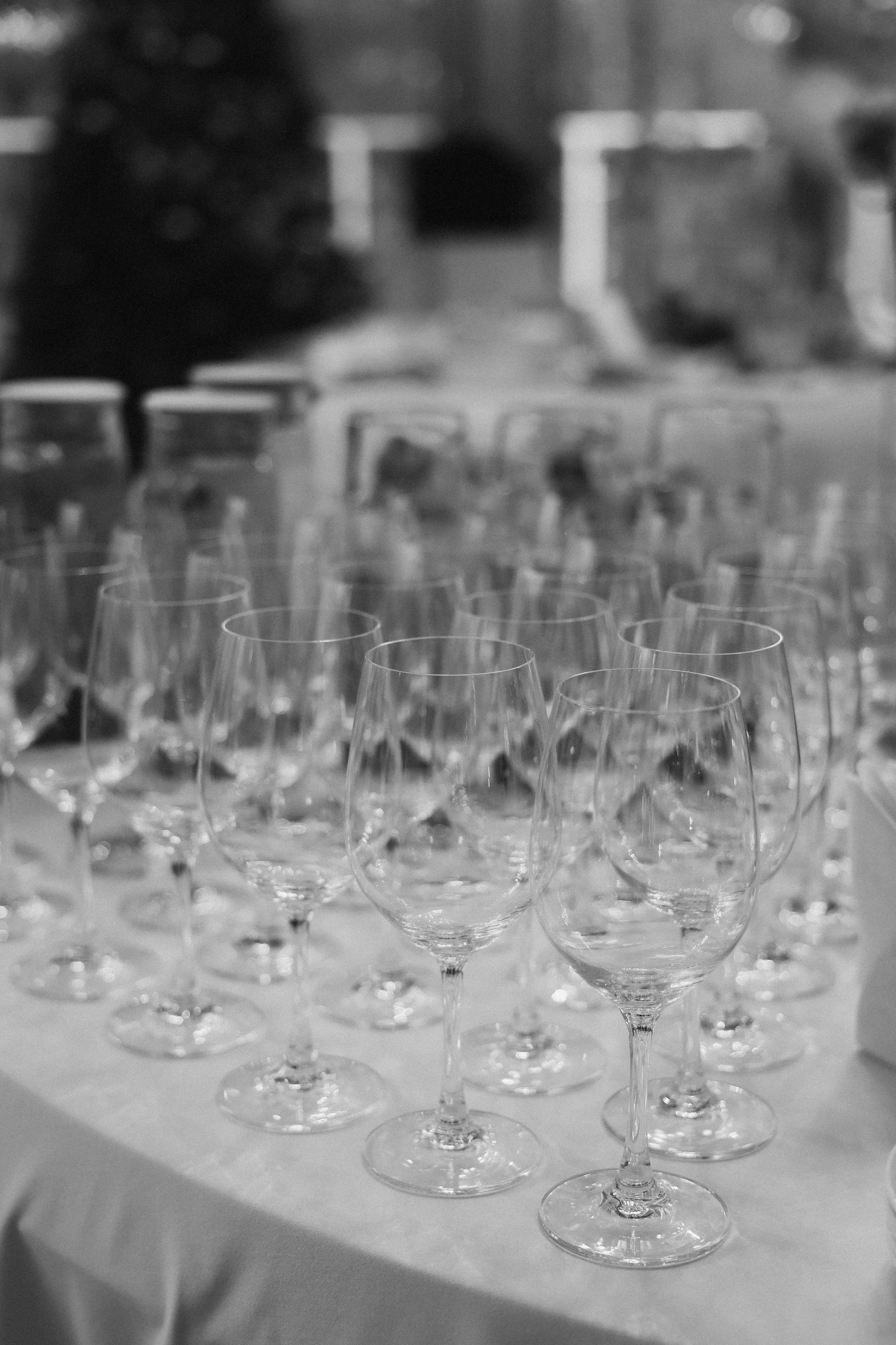 Серафимыч в пути. Фотограф НатаФото (Наталья Яковенко) Дмитров Москва Питер