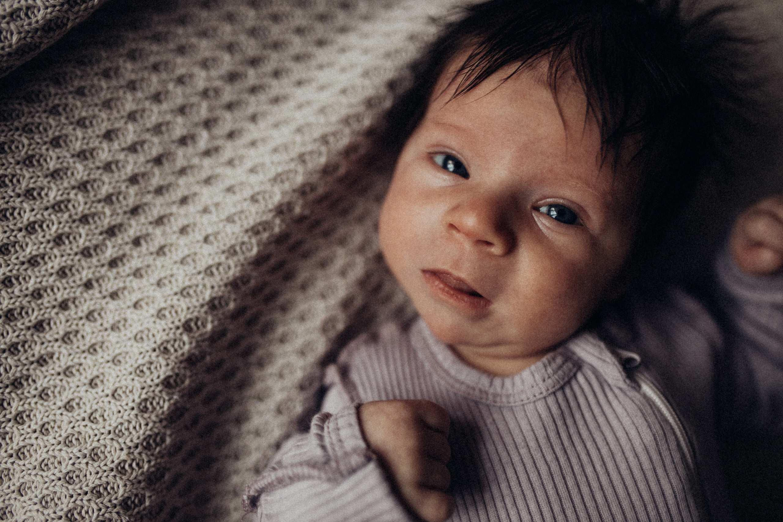 Тимоша. Профессиональный фотограф в Москве Светлана Скрипник